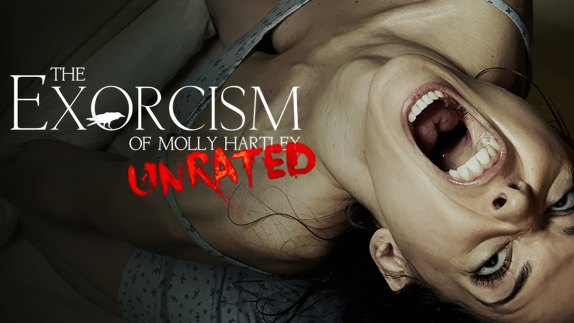 Foto do filme O Exorcismo de Molly Hartley