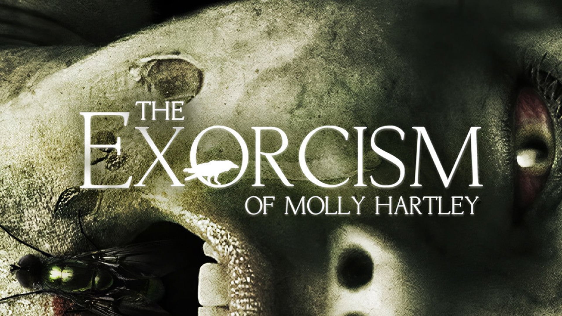 Foto do filme O Exorcismo de Molly Hartley