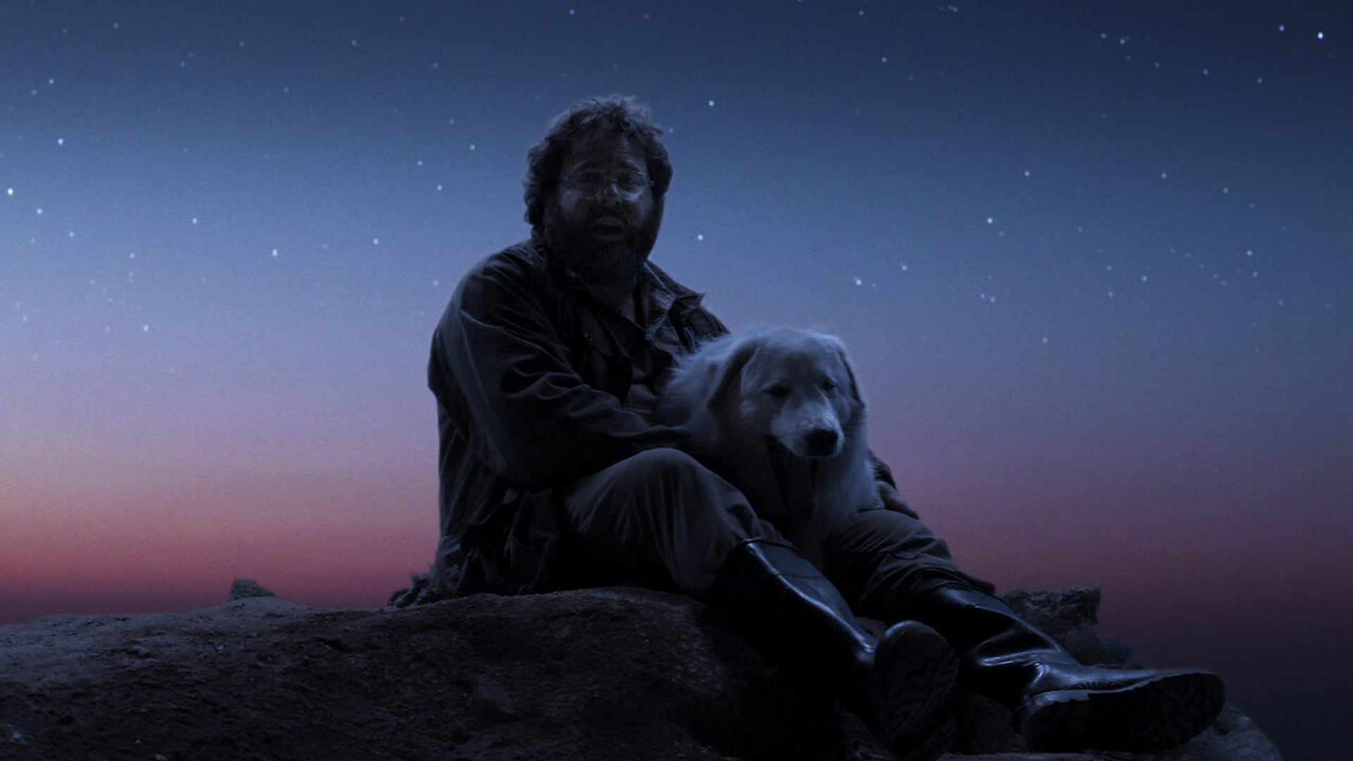 Foto do filme Oddball e os Pinguins