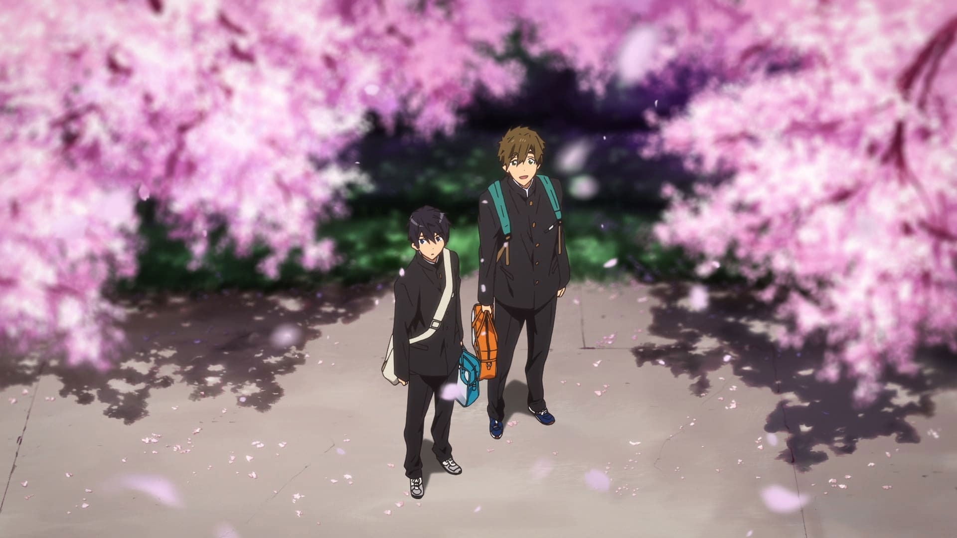 Foto do filme High Speed!: Free! Starting Days