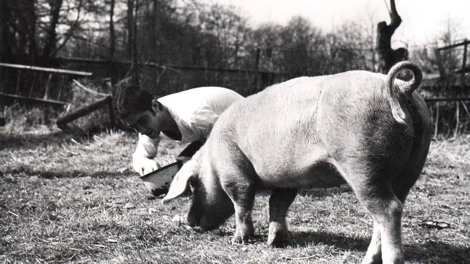 Foto do filme Núpcias de Lama