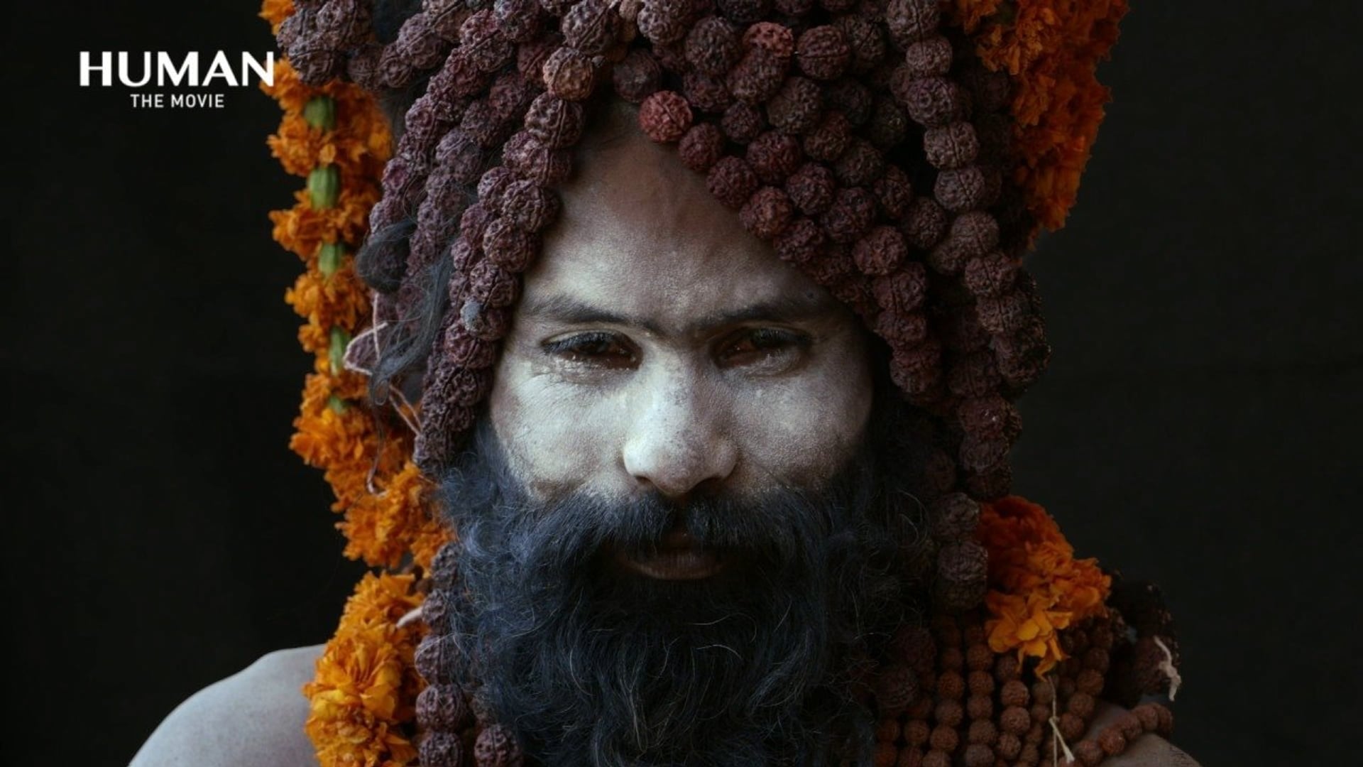 Foto do filme Humano: Uma Viagem Pela Vida