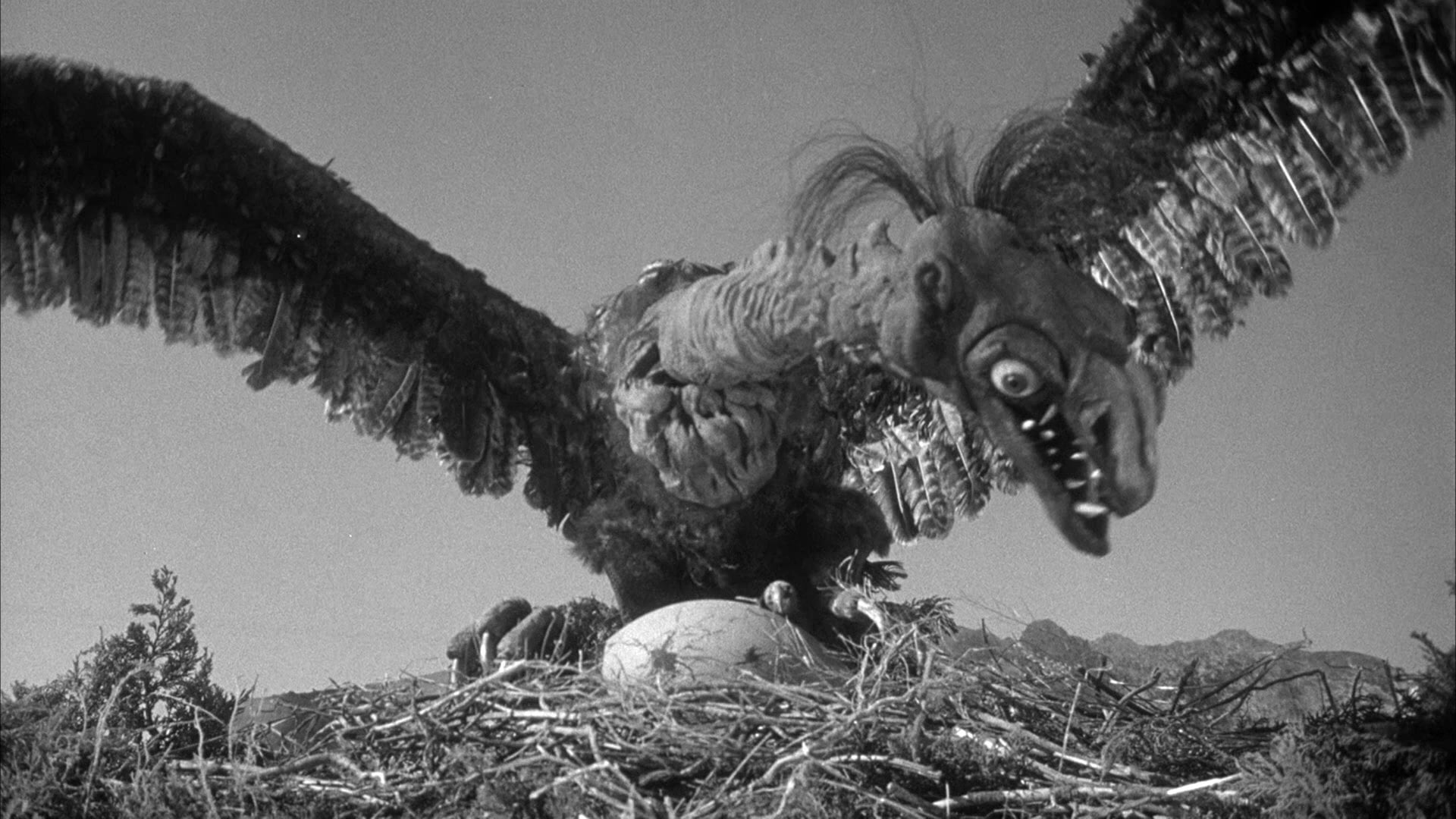 Foto do filme O Ataque Vem do Pólo