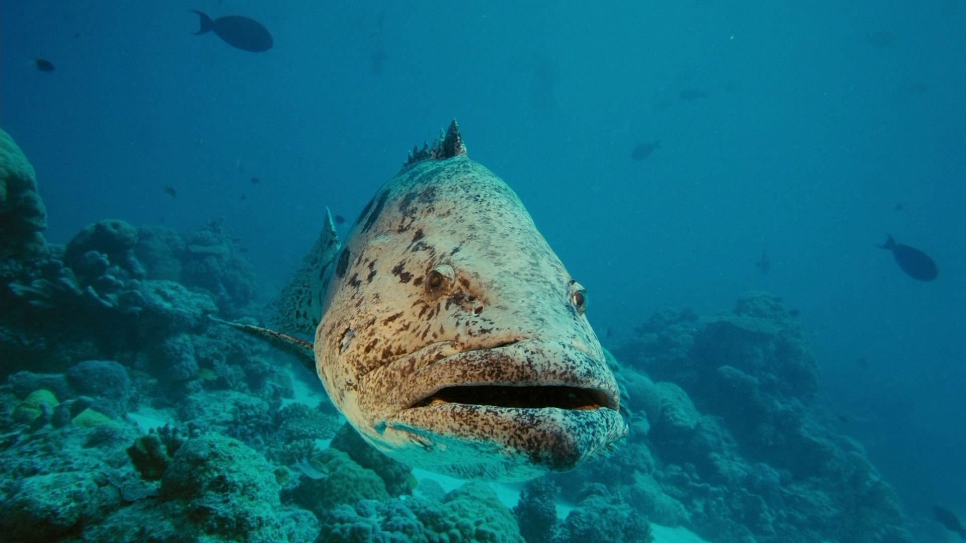 Foto do filme Um Mar de Aventuras
