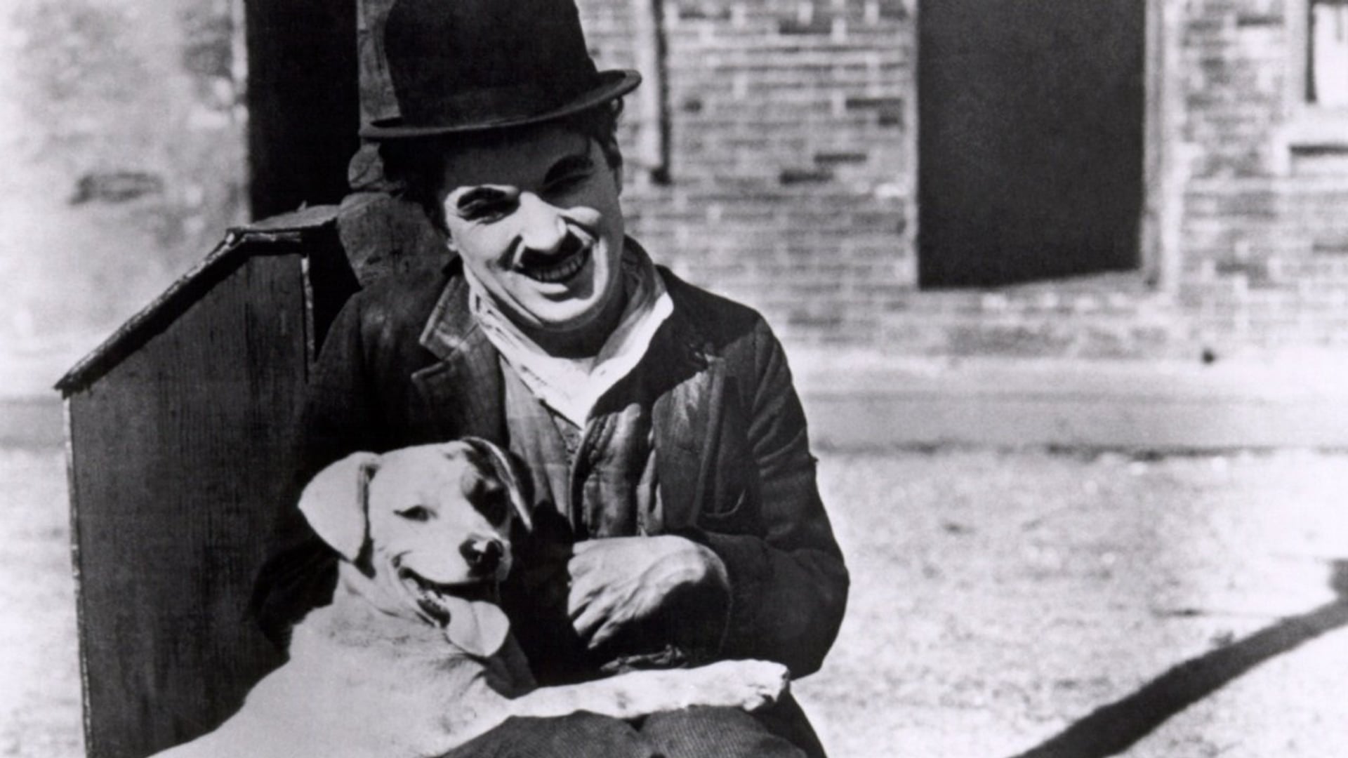 Foto do filme Vida de Cachorro