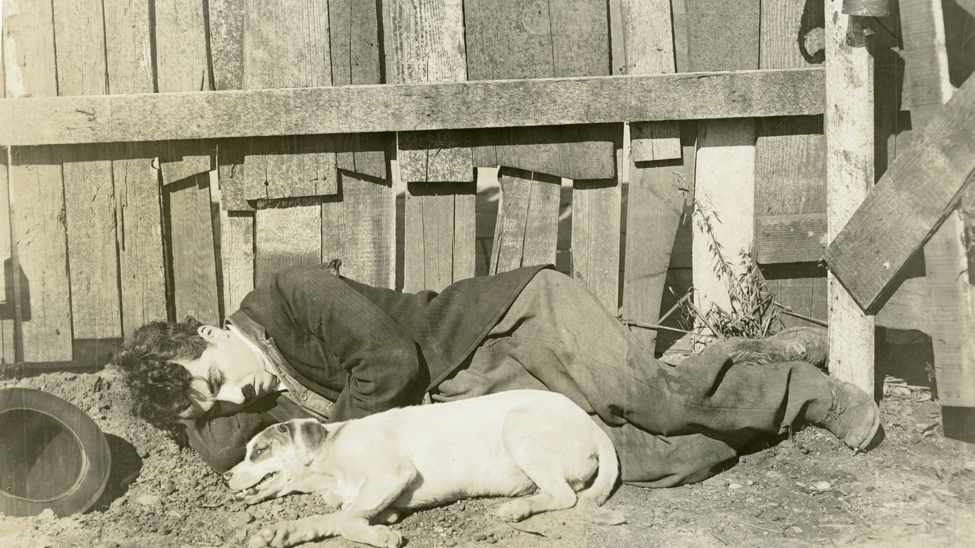 Foto do filme Vida de Cachorro