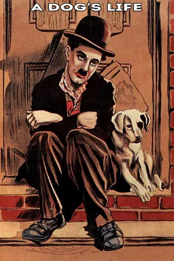 Vida de Cachorro