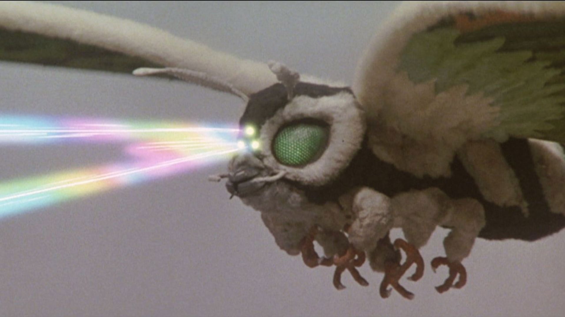 Foto do filme Renascimento de Mothra