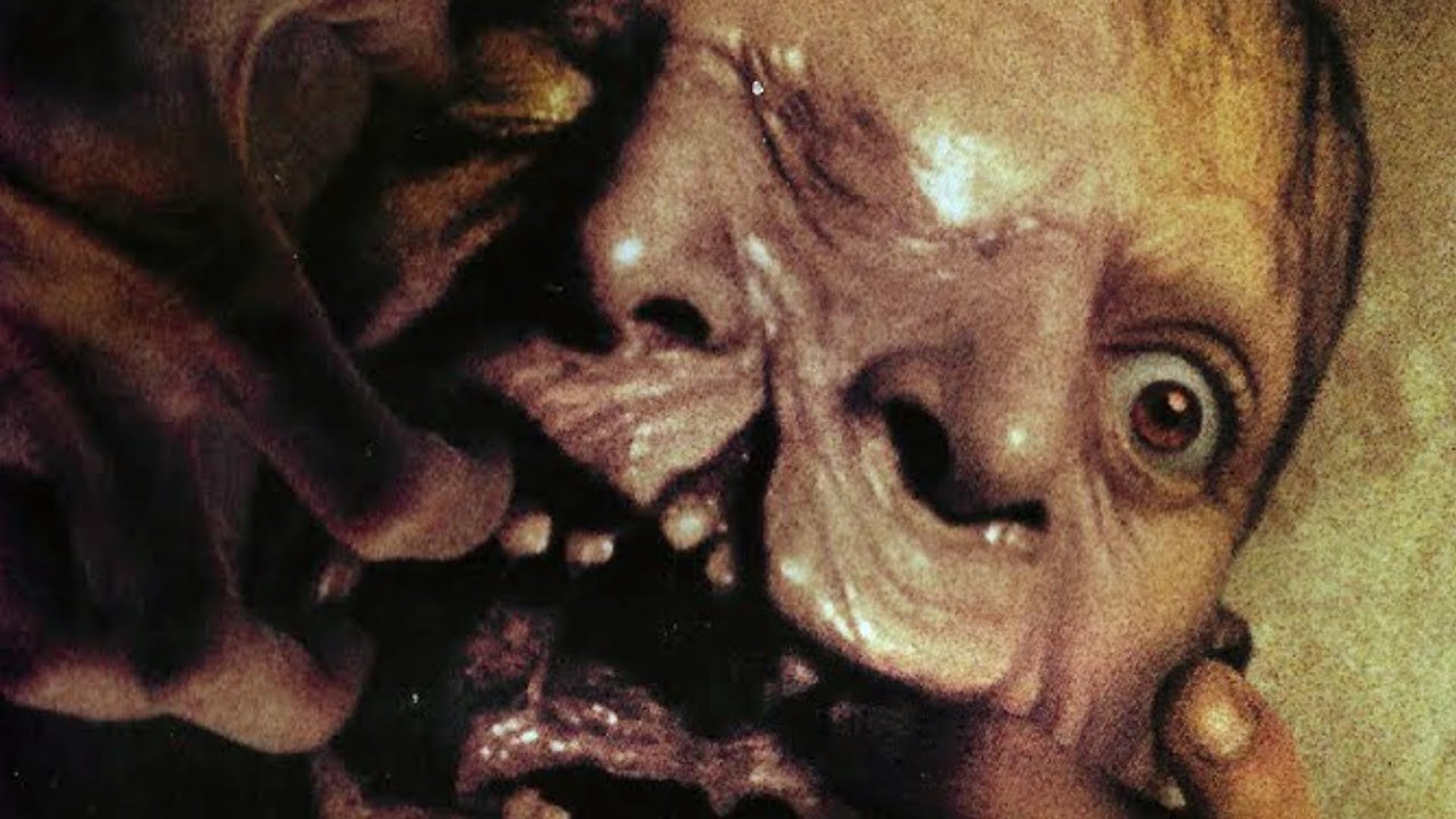 Foto do filme Subconscious Cruelty