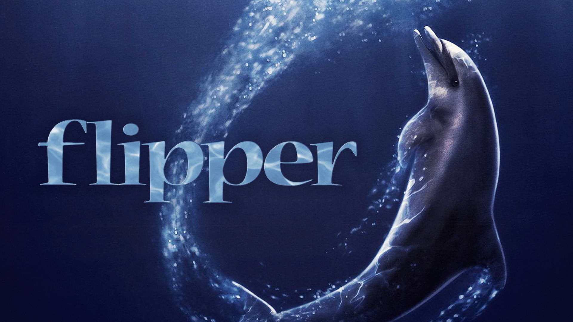 Foto do filme Flipper
