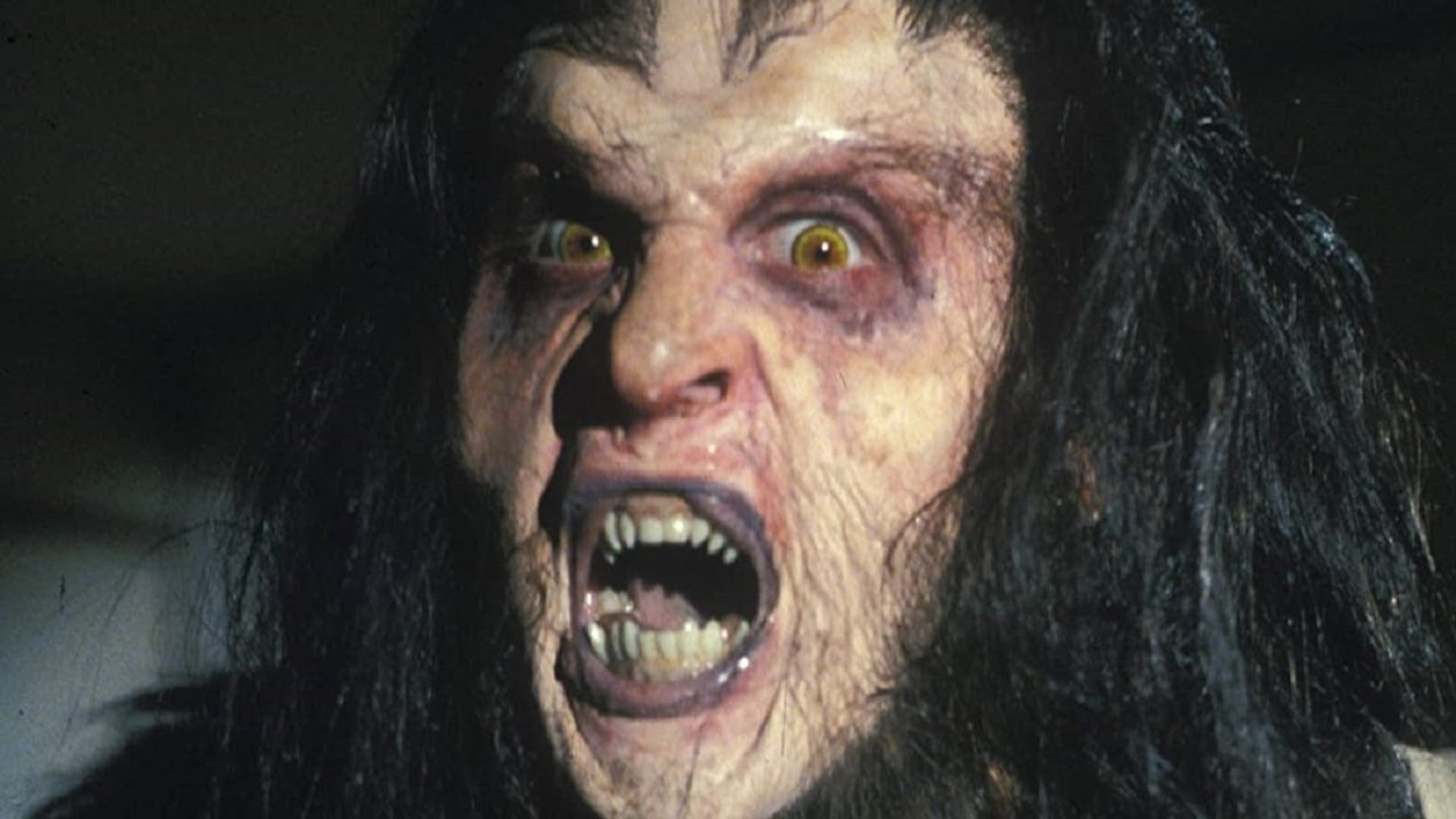 Foto do filme Grito de Horror 6