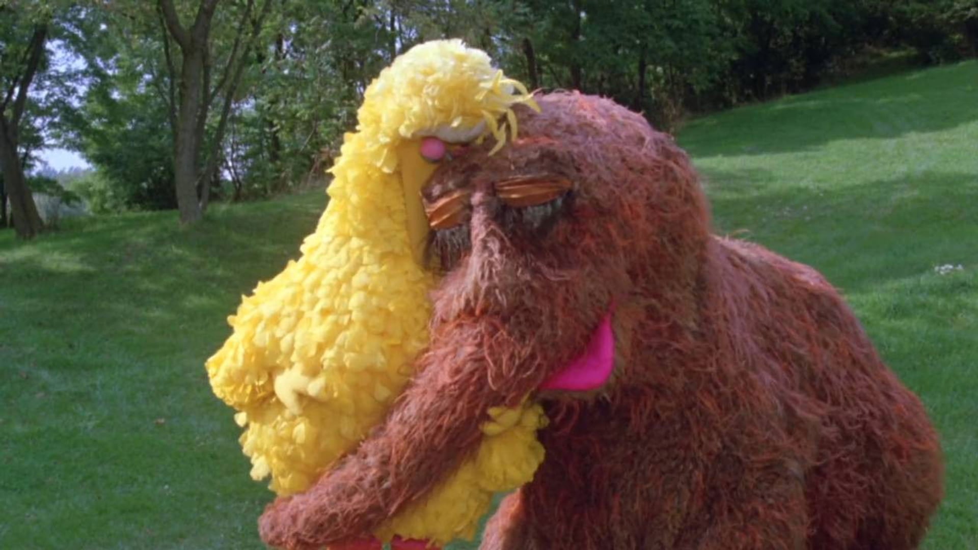 Foto do filme Onde Está o Garibaldo?