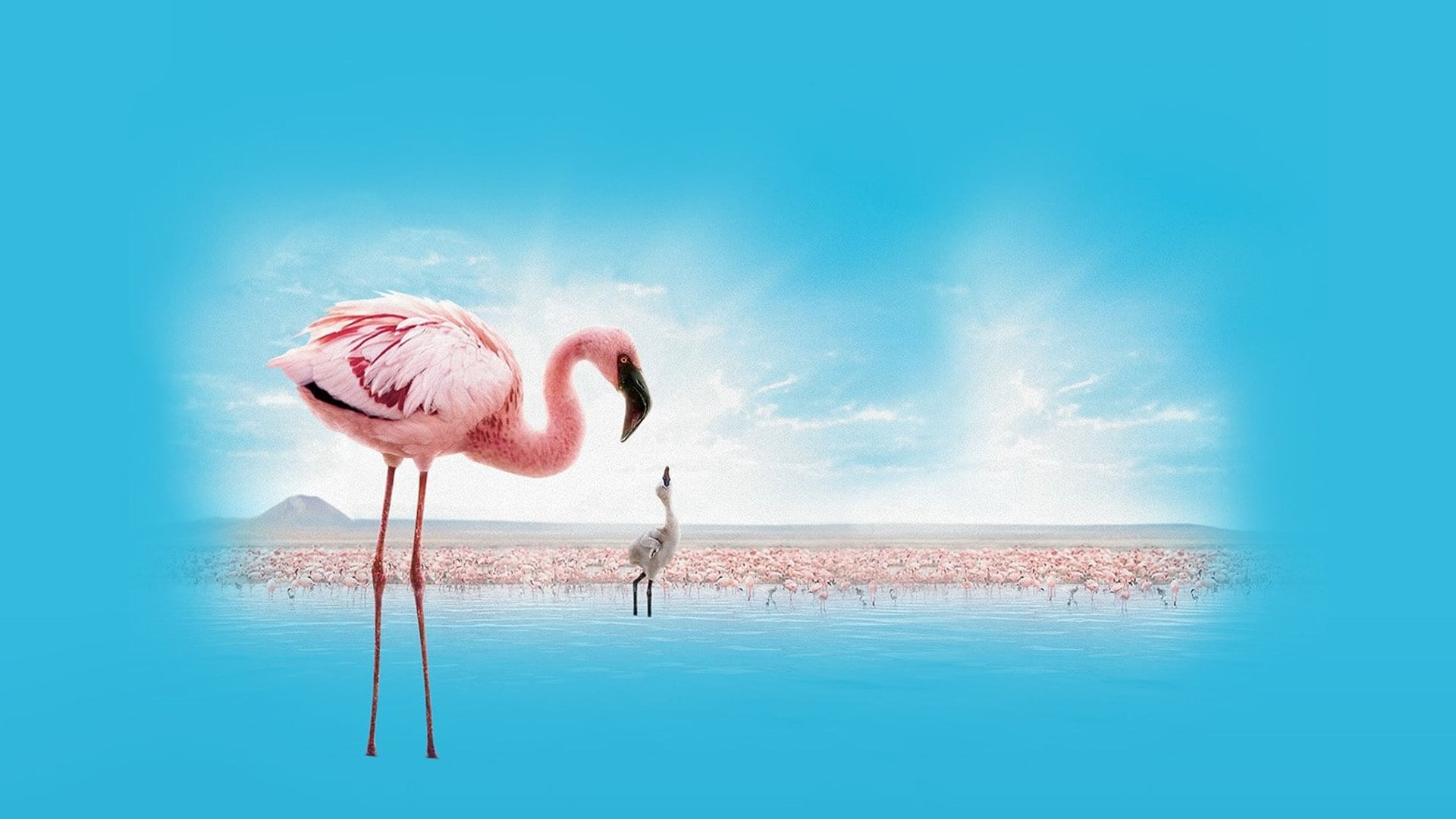 Foto do filme Grande Balé Vermelho: O Mistério dos Flamingos
