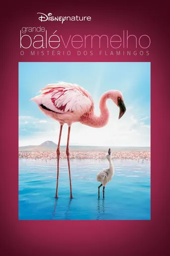 Grande Balé Vermelho: O Mistério dos Flamingos