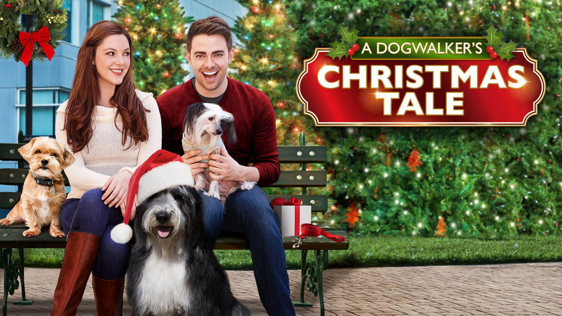 Foto do filme Um Natal Animal
