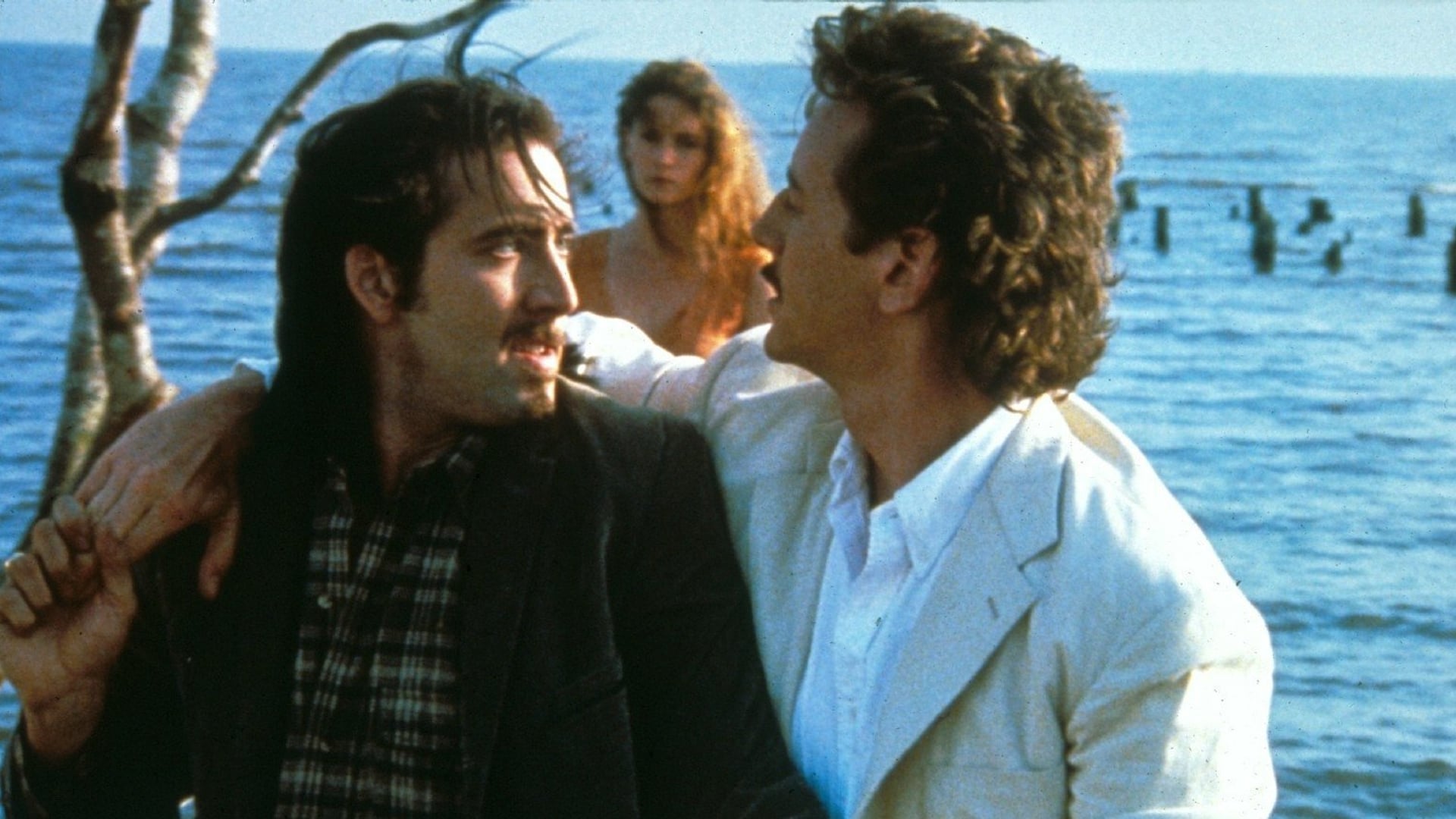 Foto do filme Zandalee - Uma Mulher Para Dois Homens