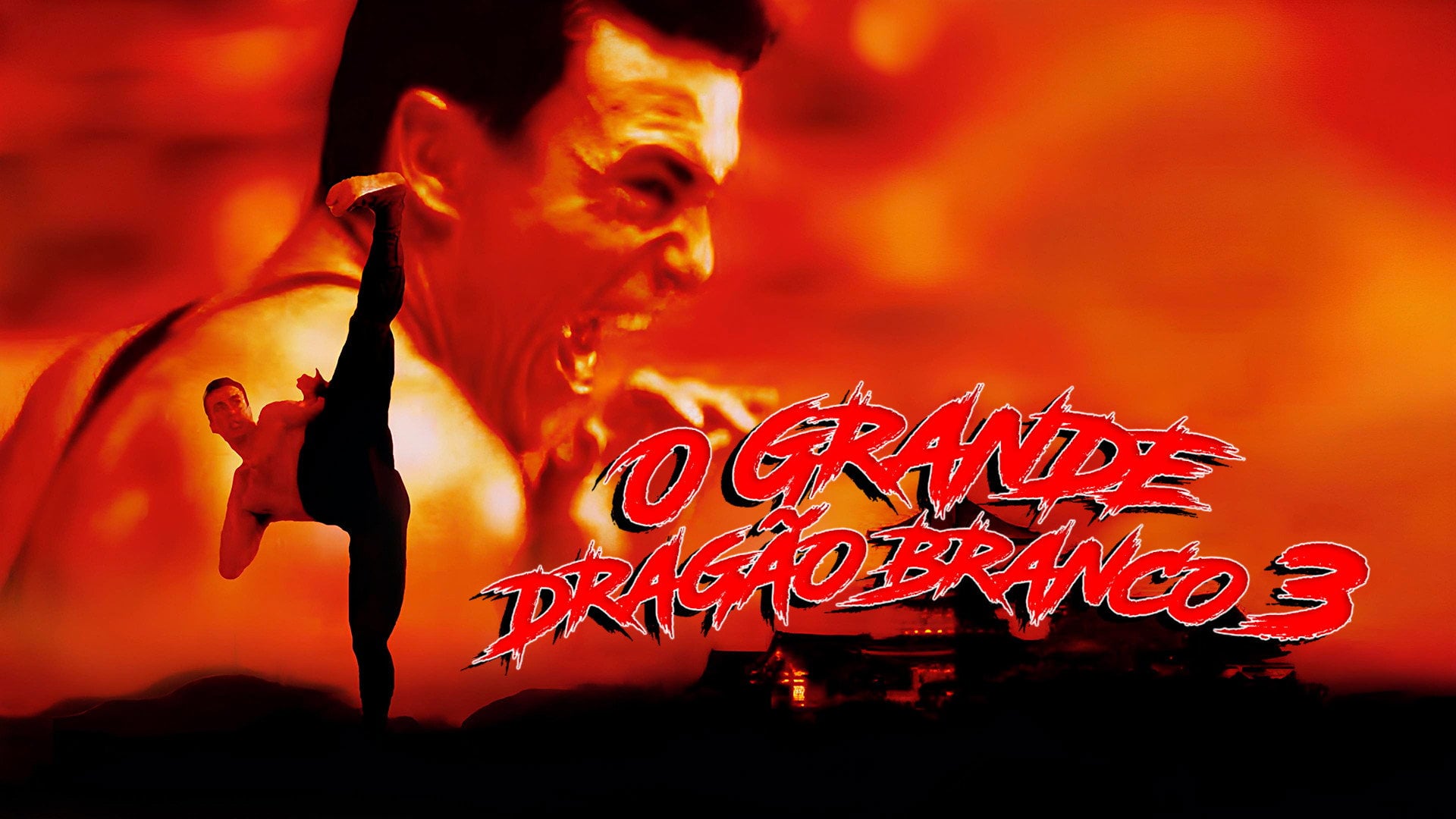 Foto do filme O Grande Dragão Branco 3