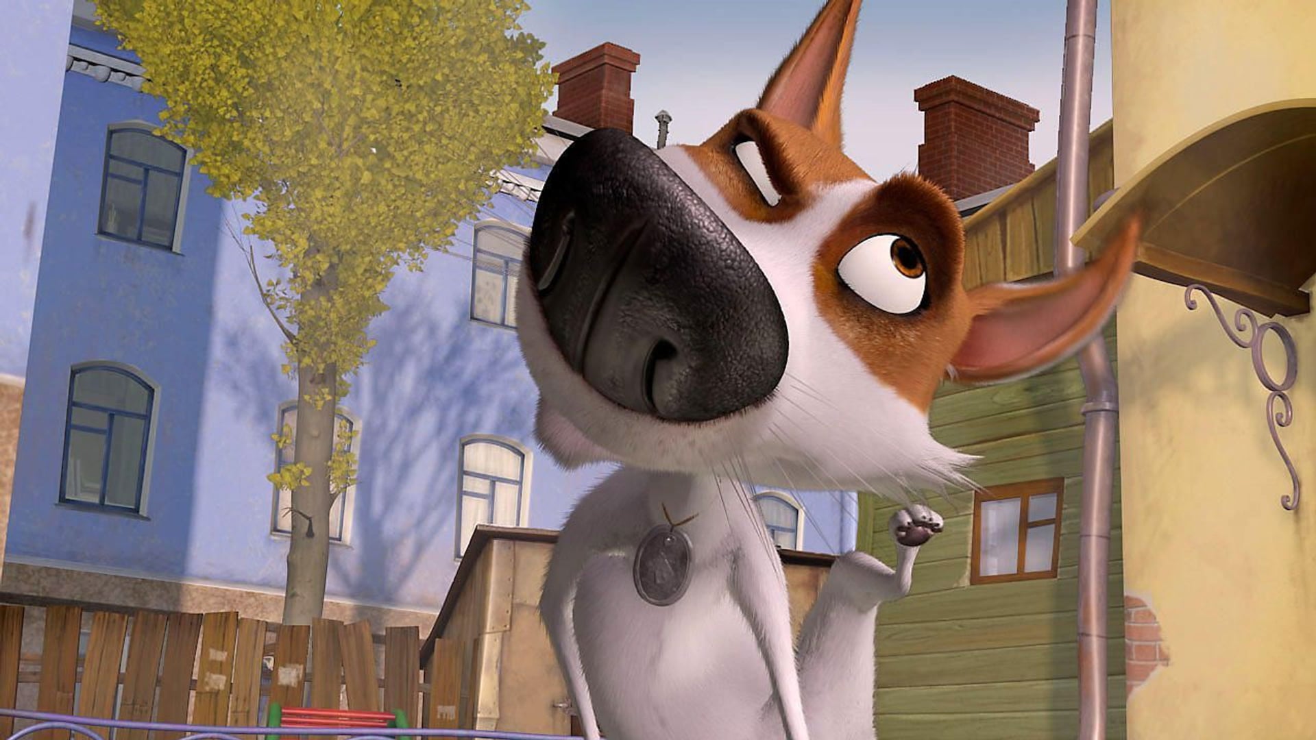 Foto do filme Cãestronautas