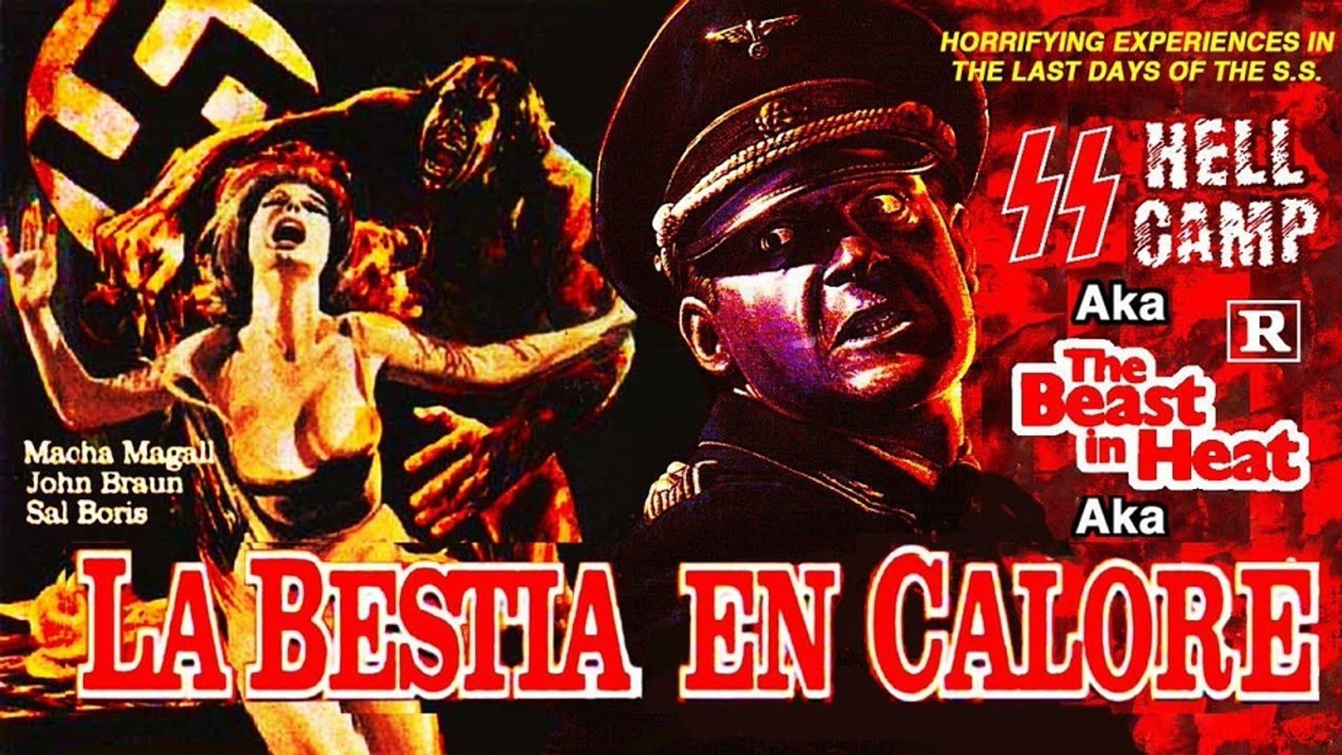 Foto do filme La bestia in calore