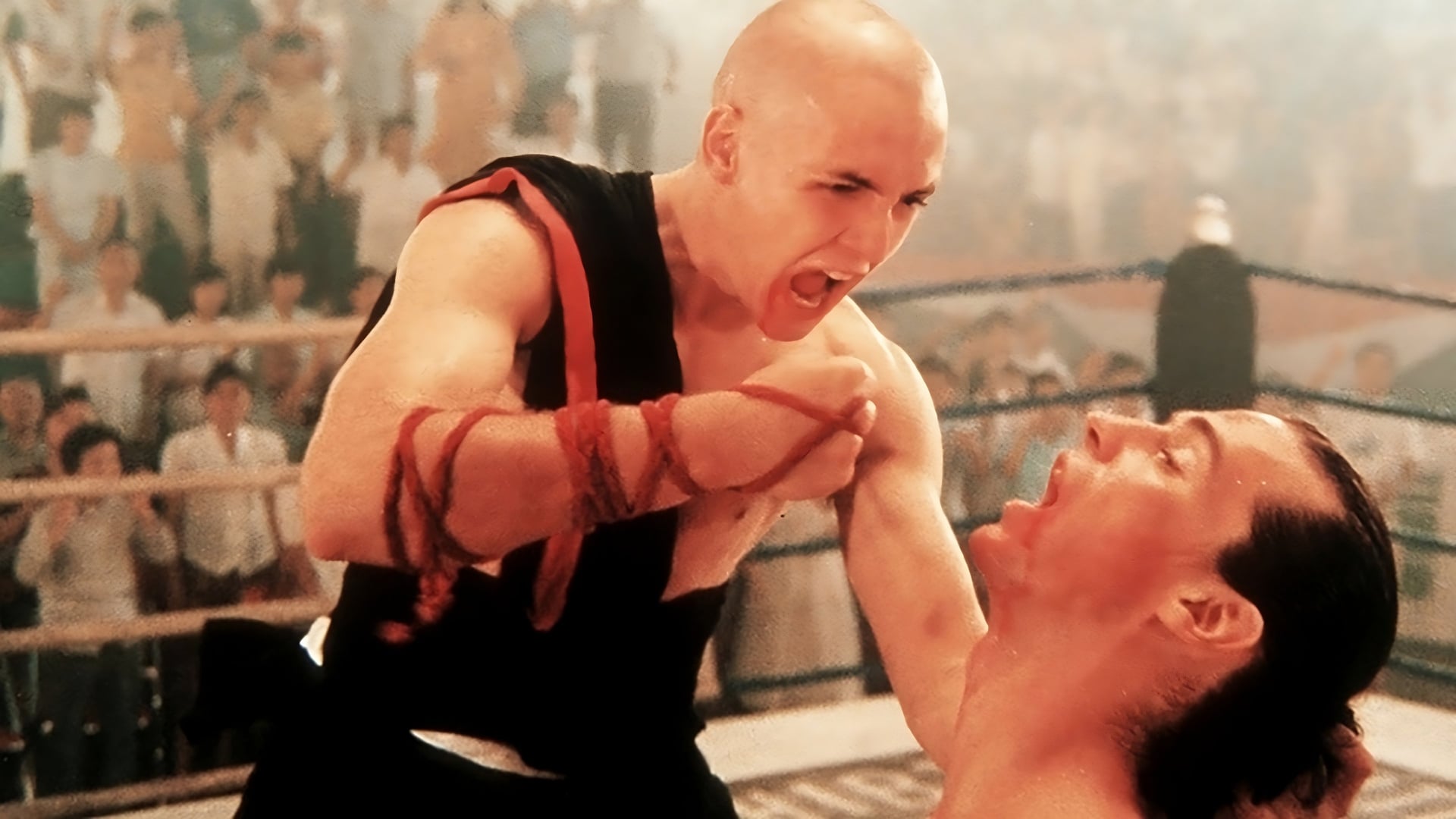 Foto do filme American Shaolin: Uma Nova Raça de Kickboxer