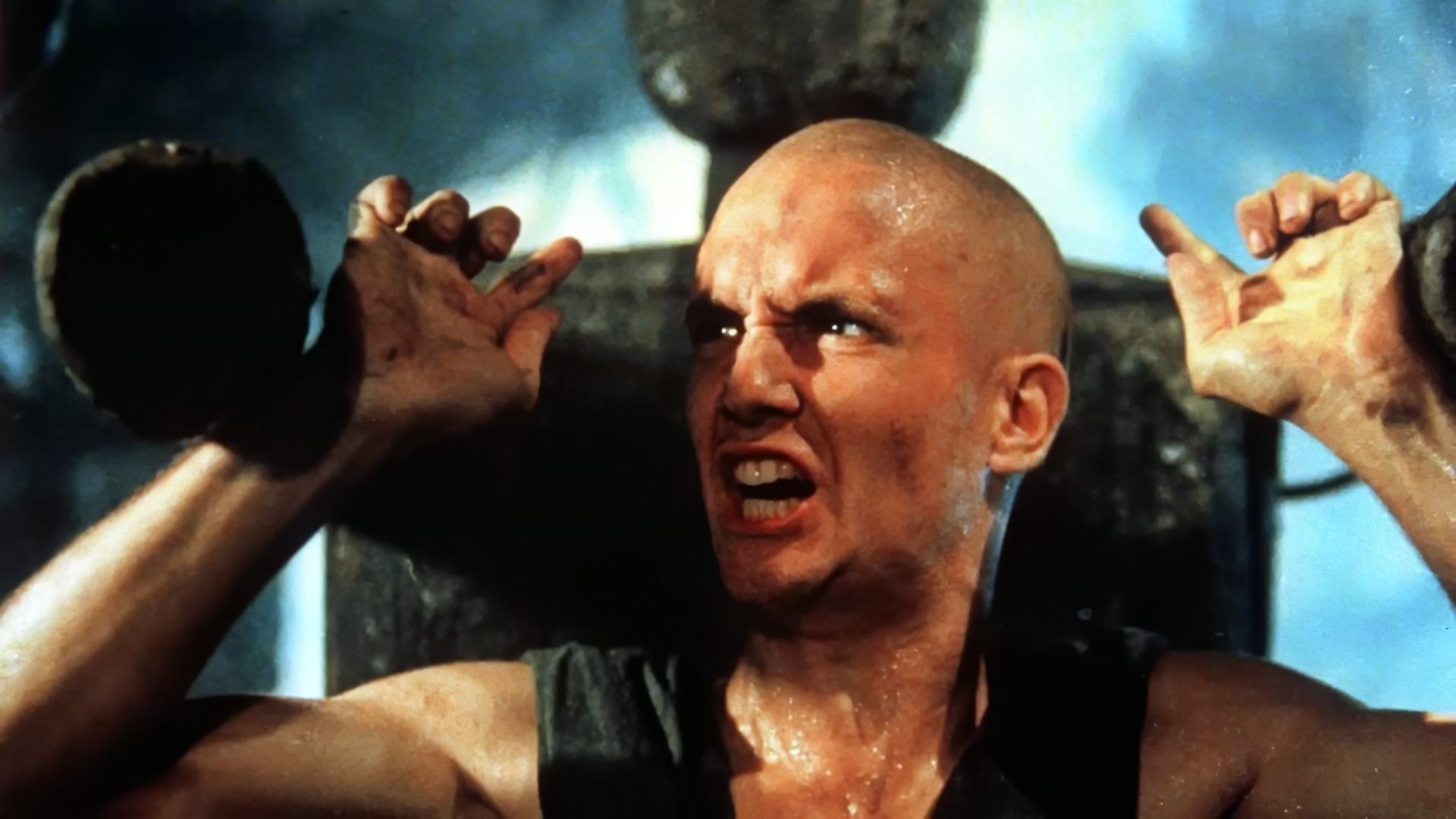 Foto do filme American Shaolin: Uma Nova Raça de Kickboxer