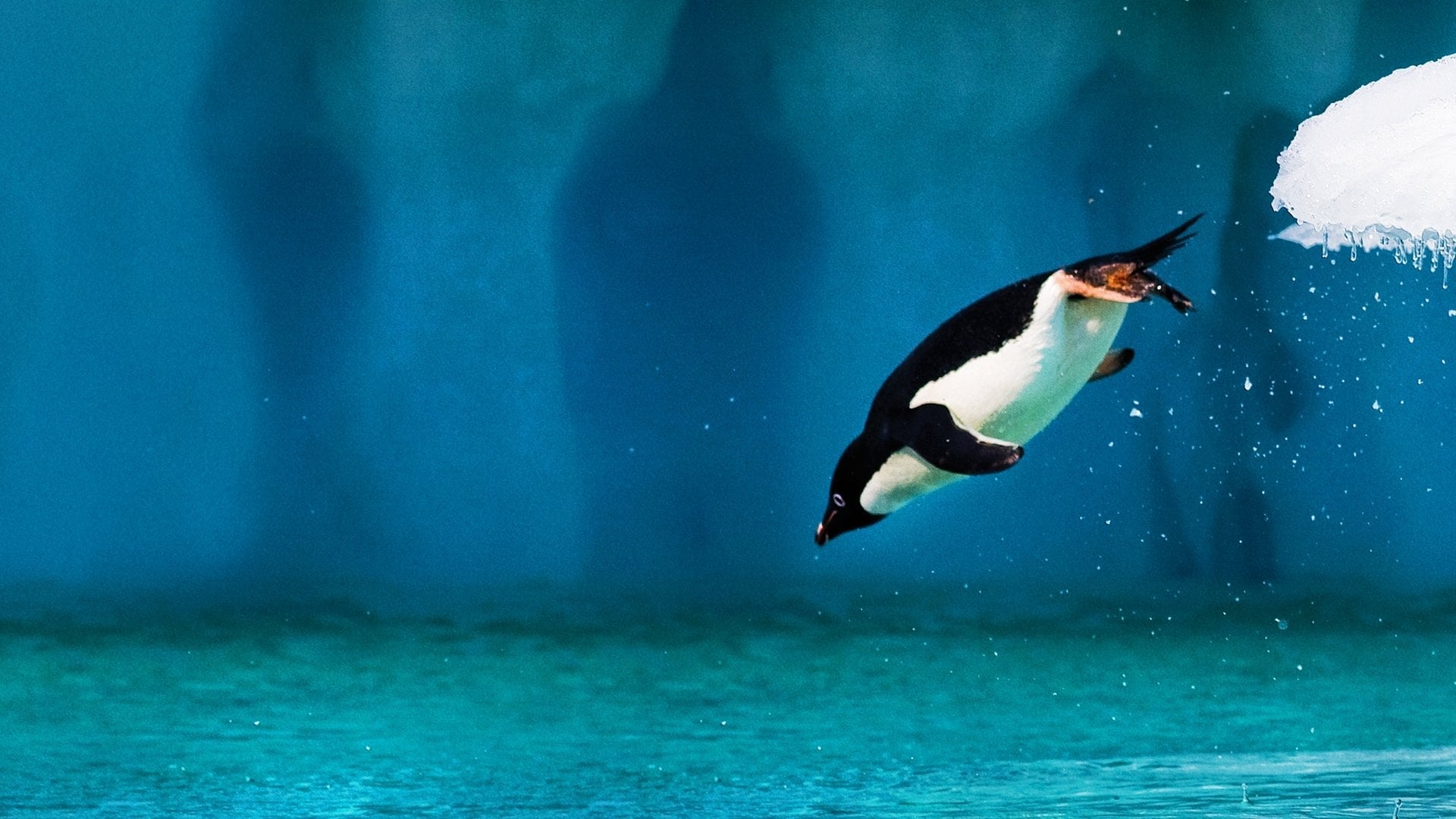 Foto do filme Oceanos