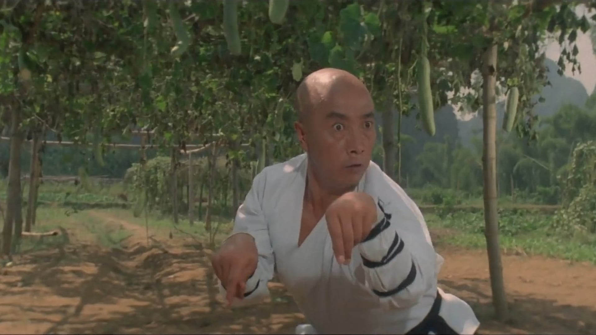 Foto do filme O Templo de Shaolin 3: As Artes Marciais de Shaolin
