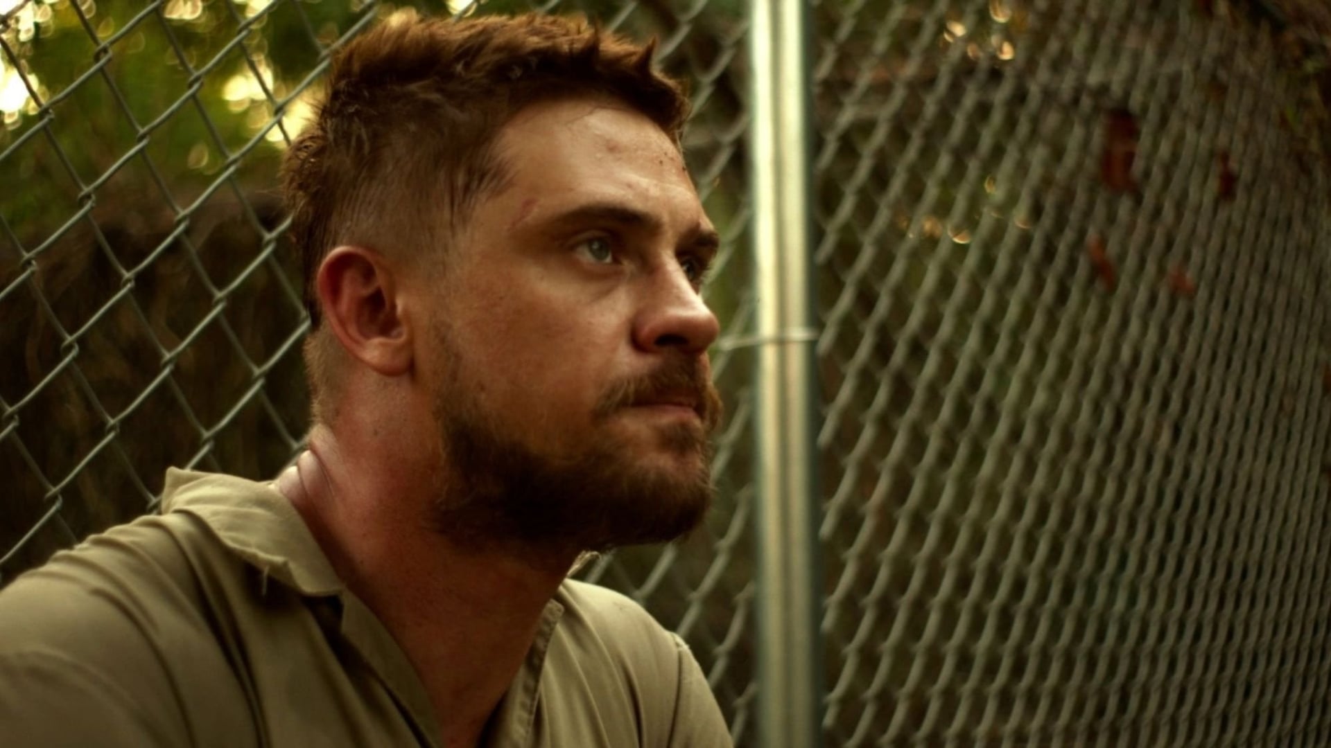 Foto do filme The Free World