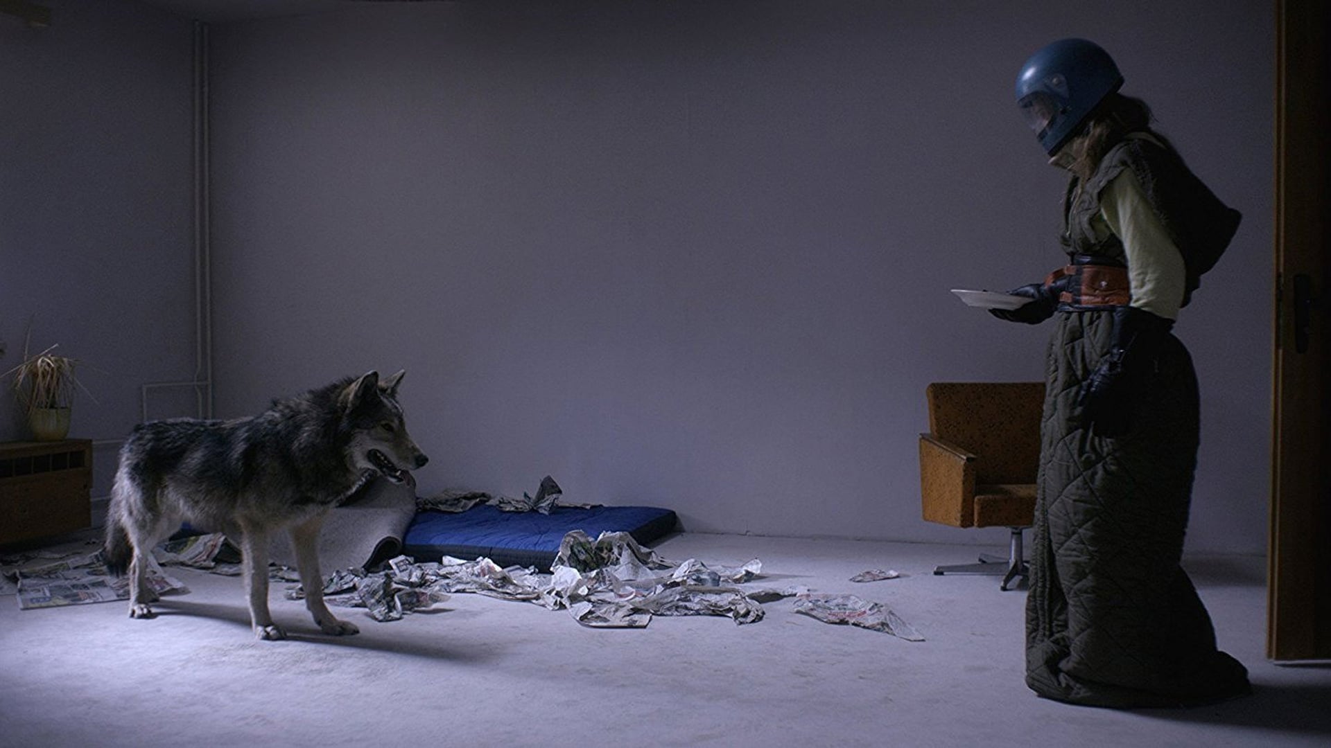 Foto do filme Wild