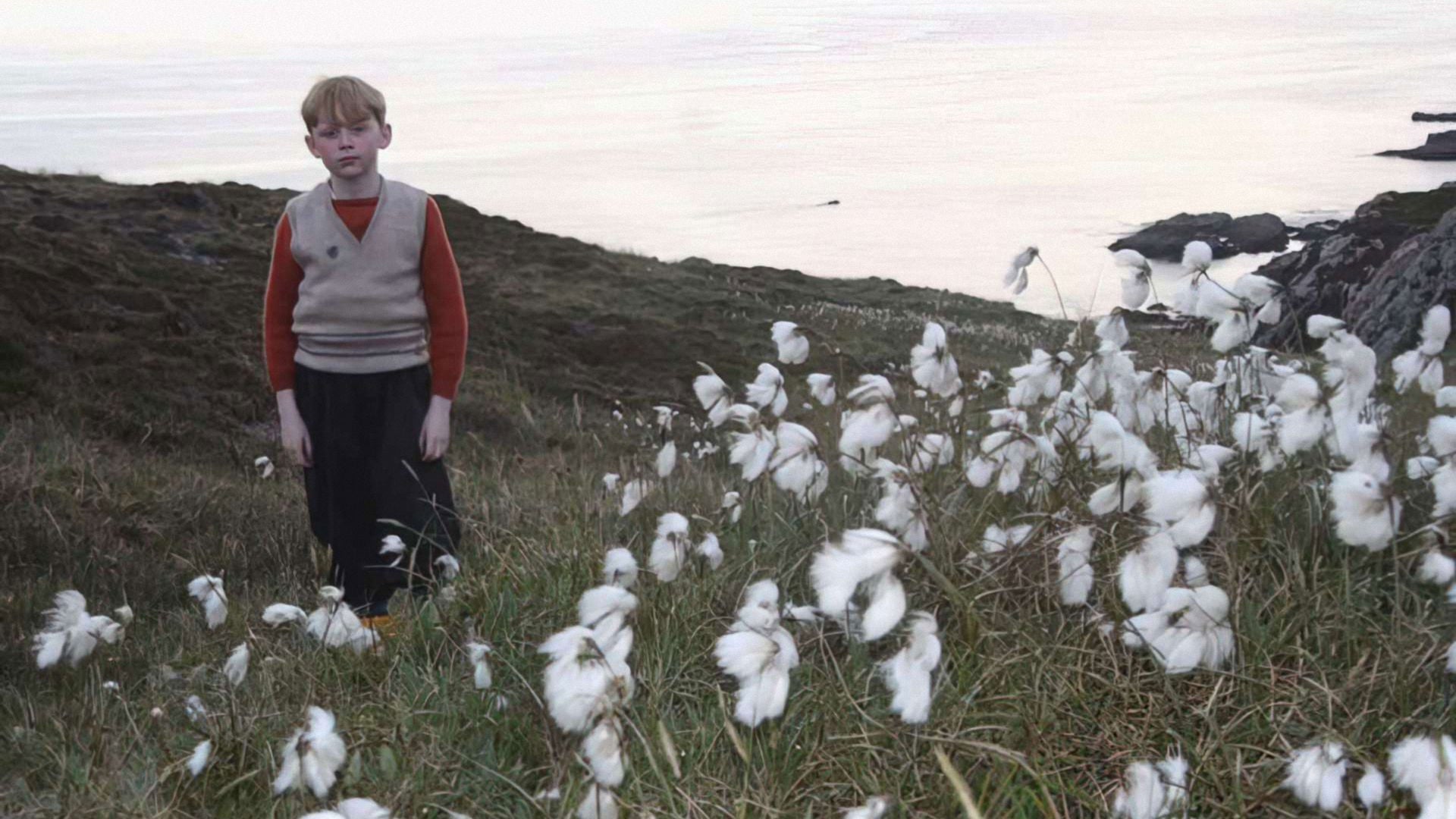 Foto do filme O Brilho da Vida