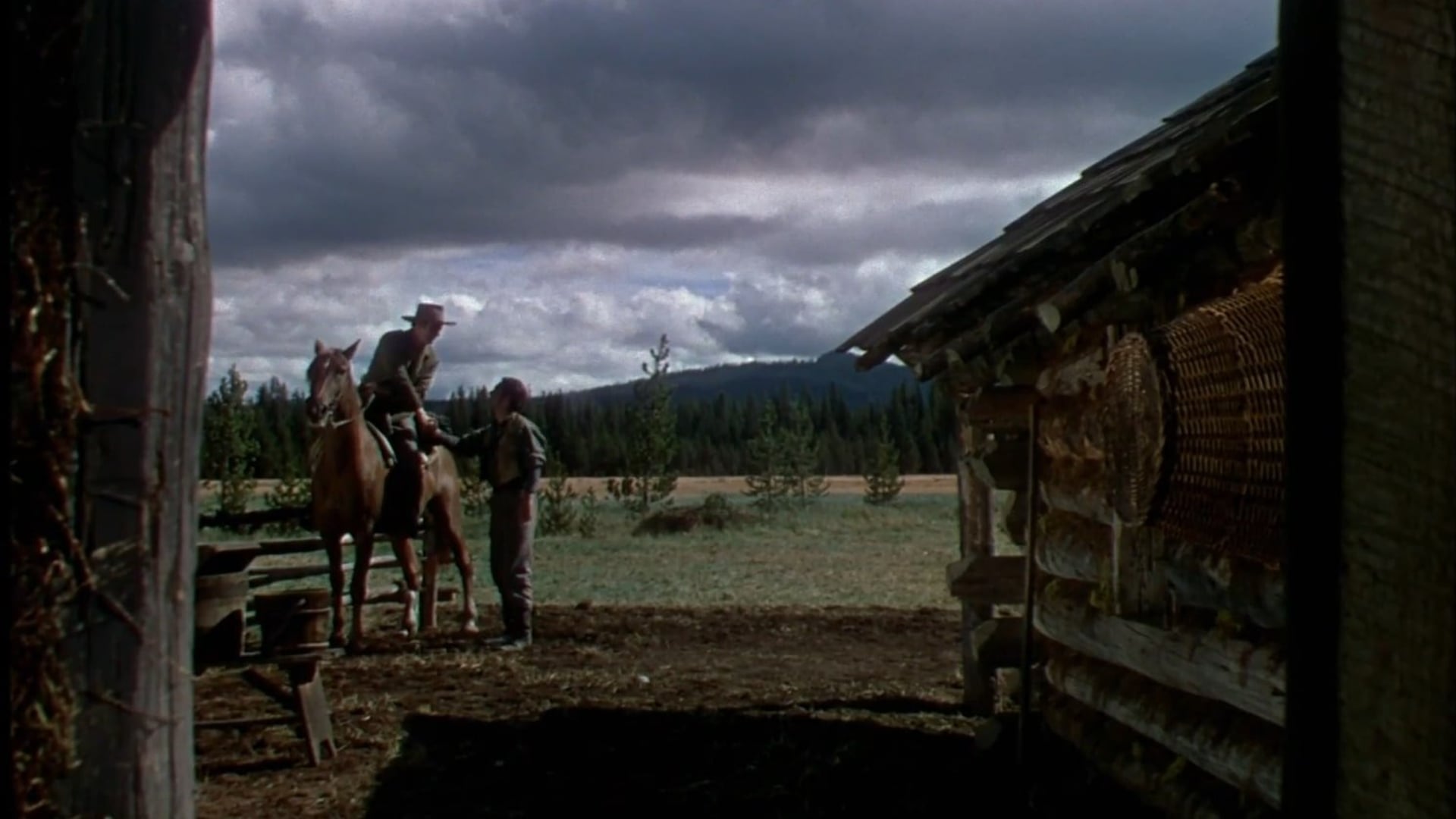 Foto do filme Paixão Selvagem