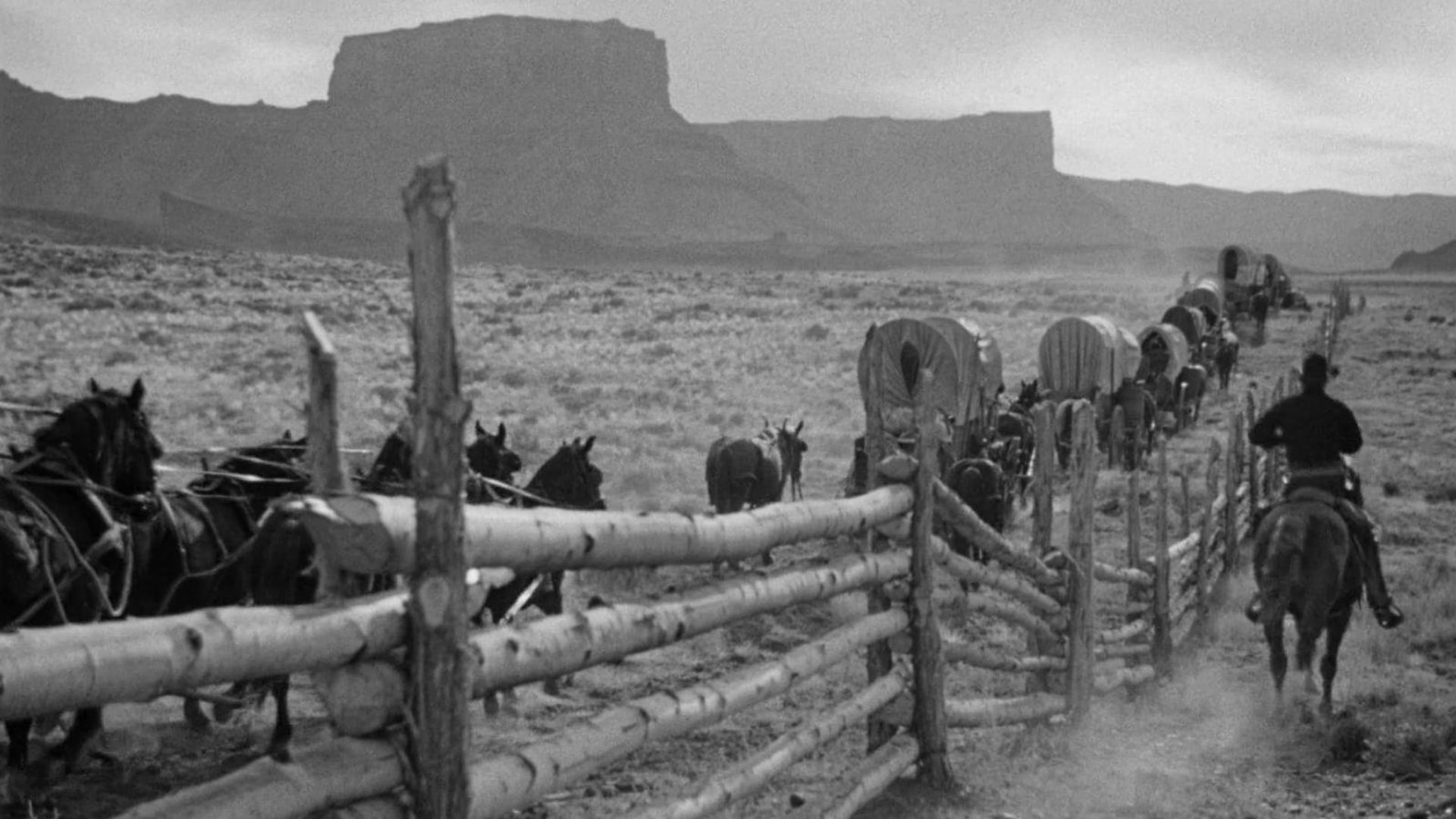 Foto do filme Caravana de Bravos