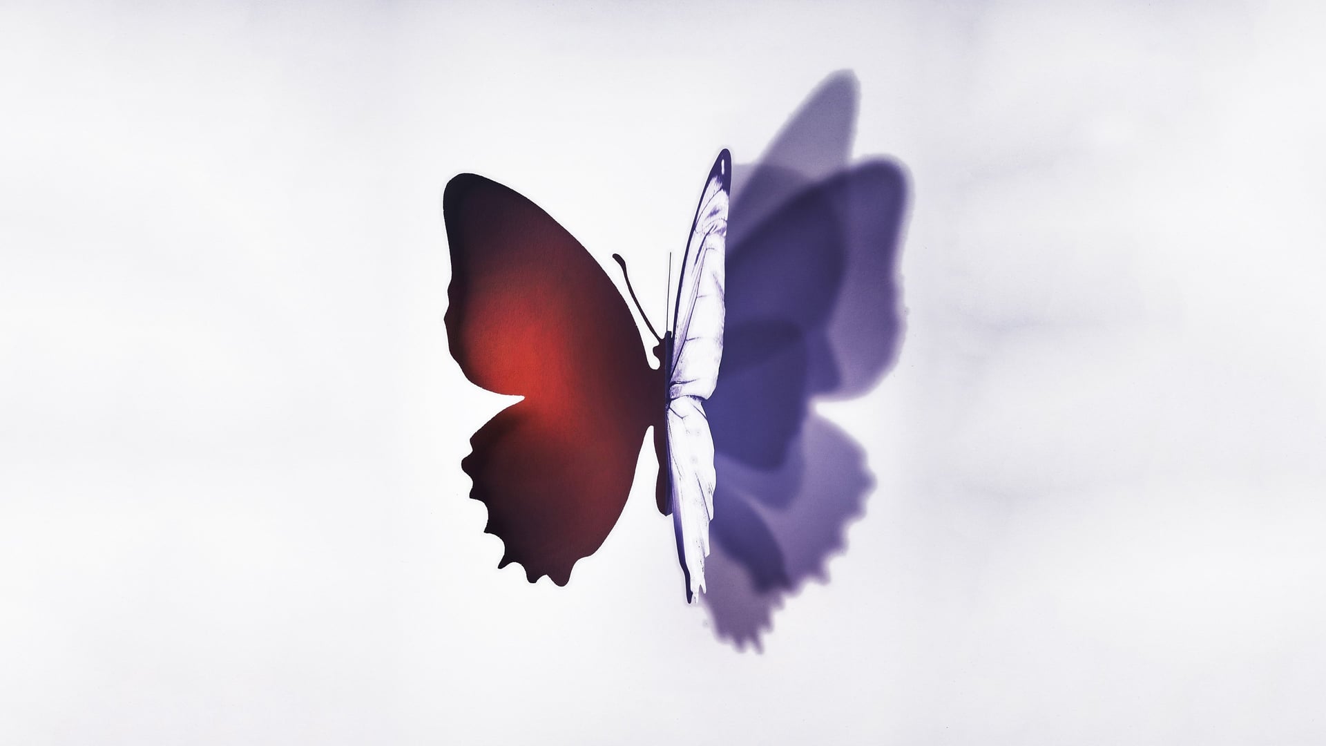 Foto do filme Desconhecida