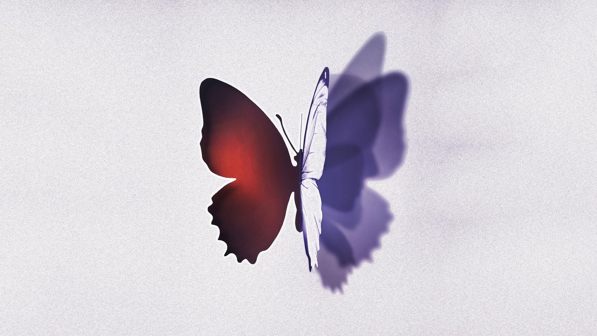 Foto do filme Desconhecida