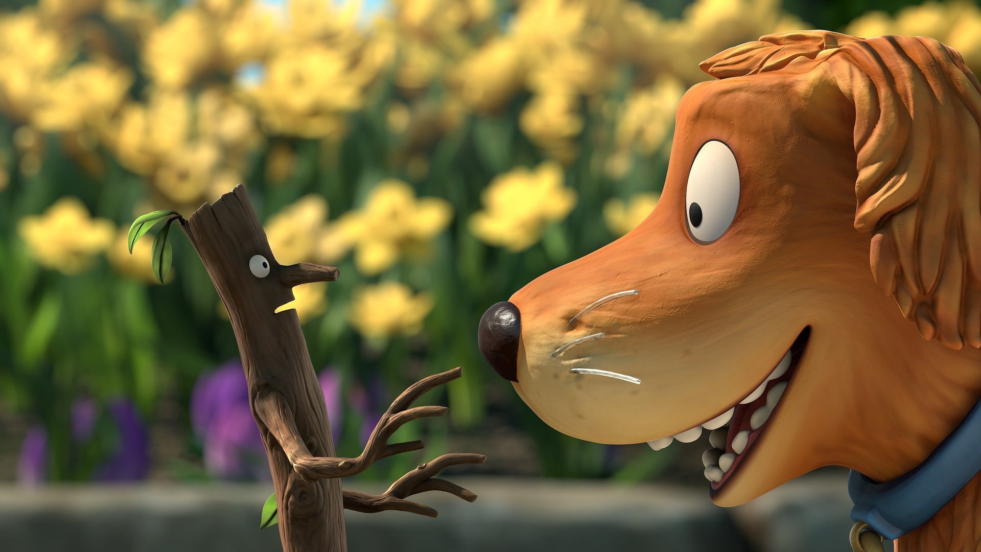 Foto do filme Sr. Vareta