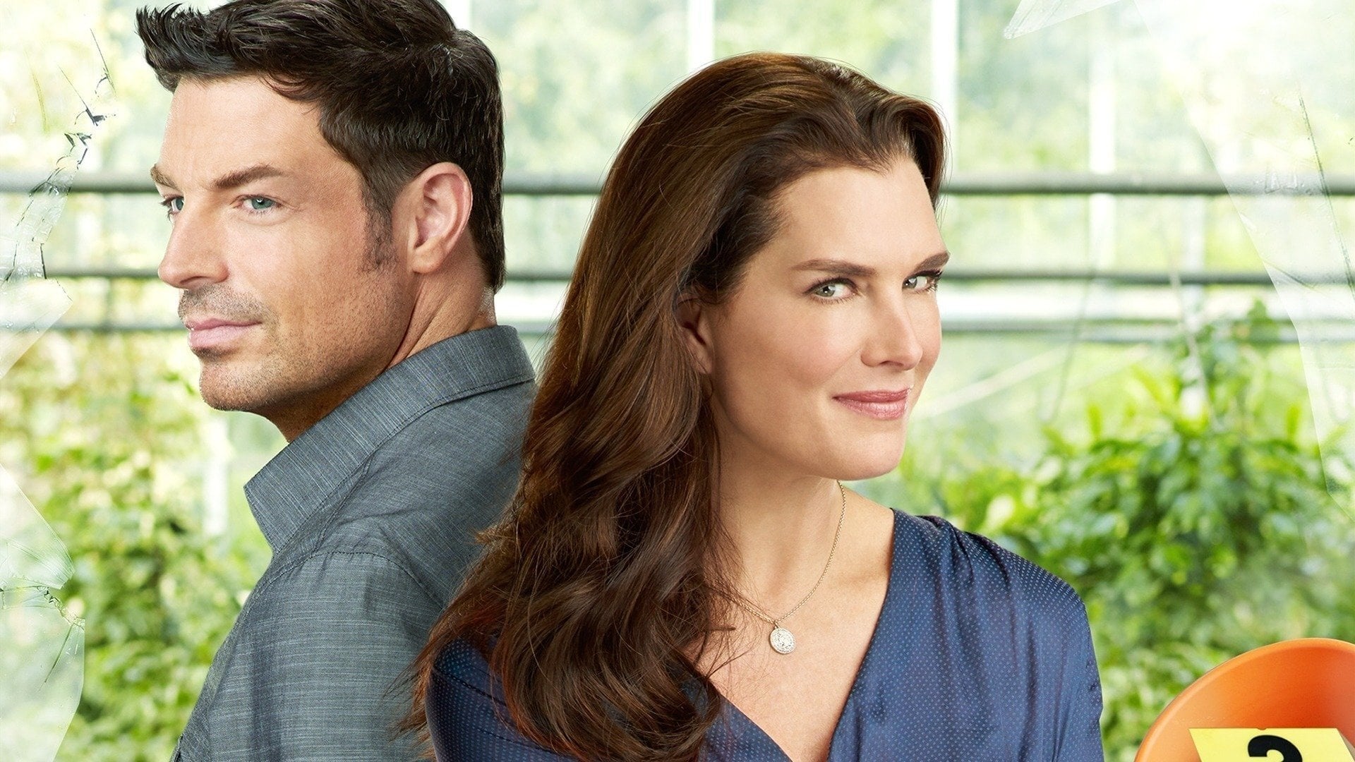 Foto do filme O Mistério da Floricultura