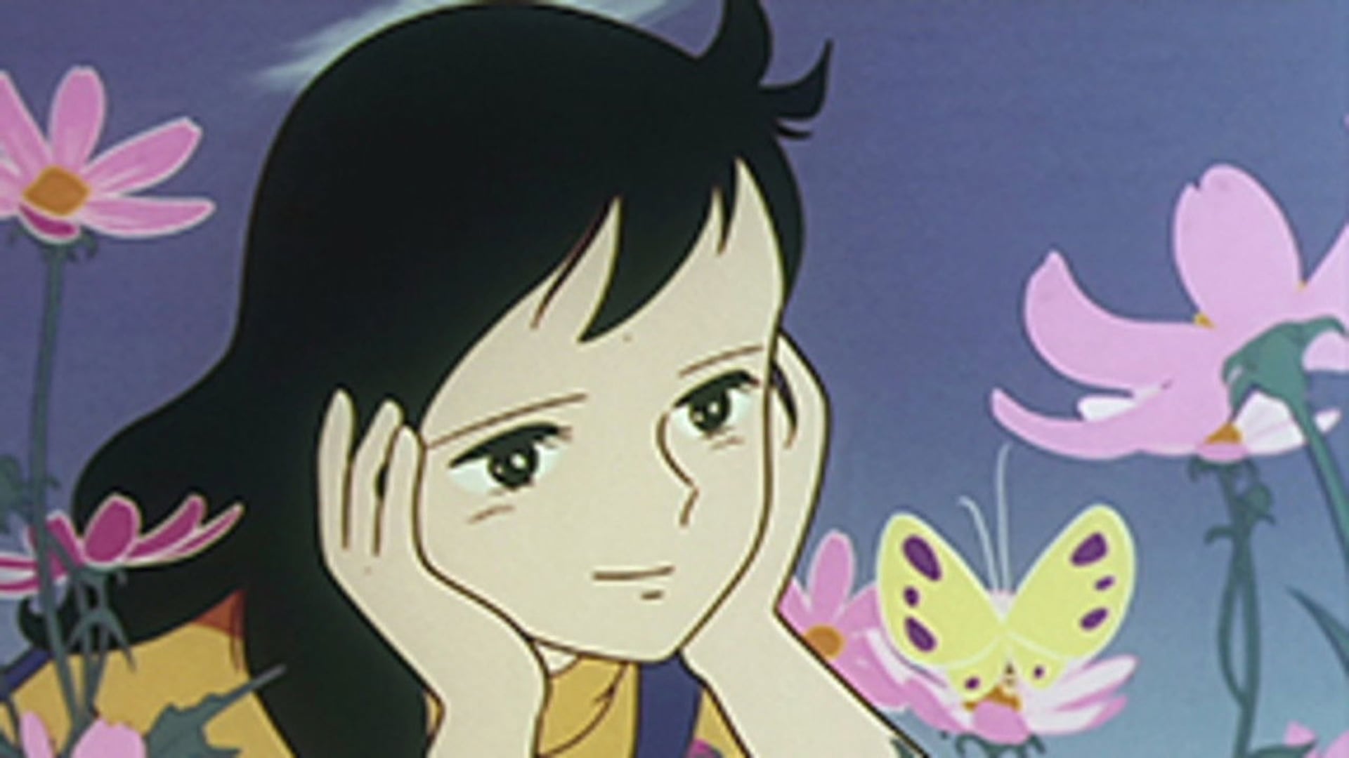 Foto do filme O Sol de Yuki