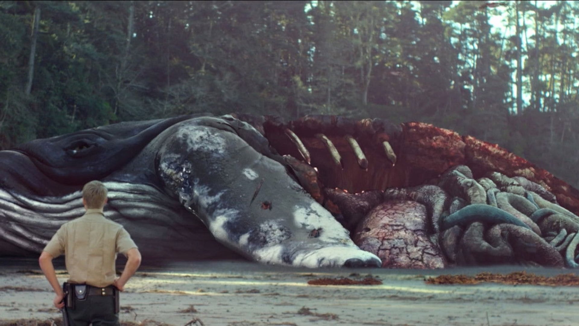 Foto do filme Caranguejos Assassinos