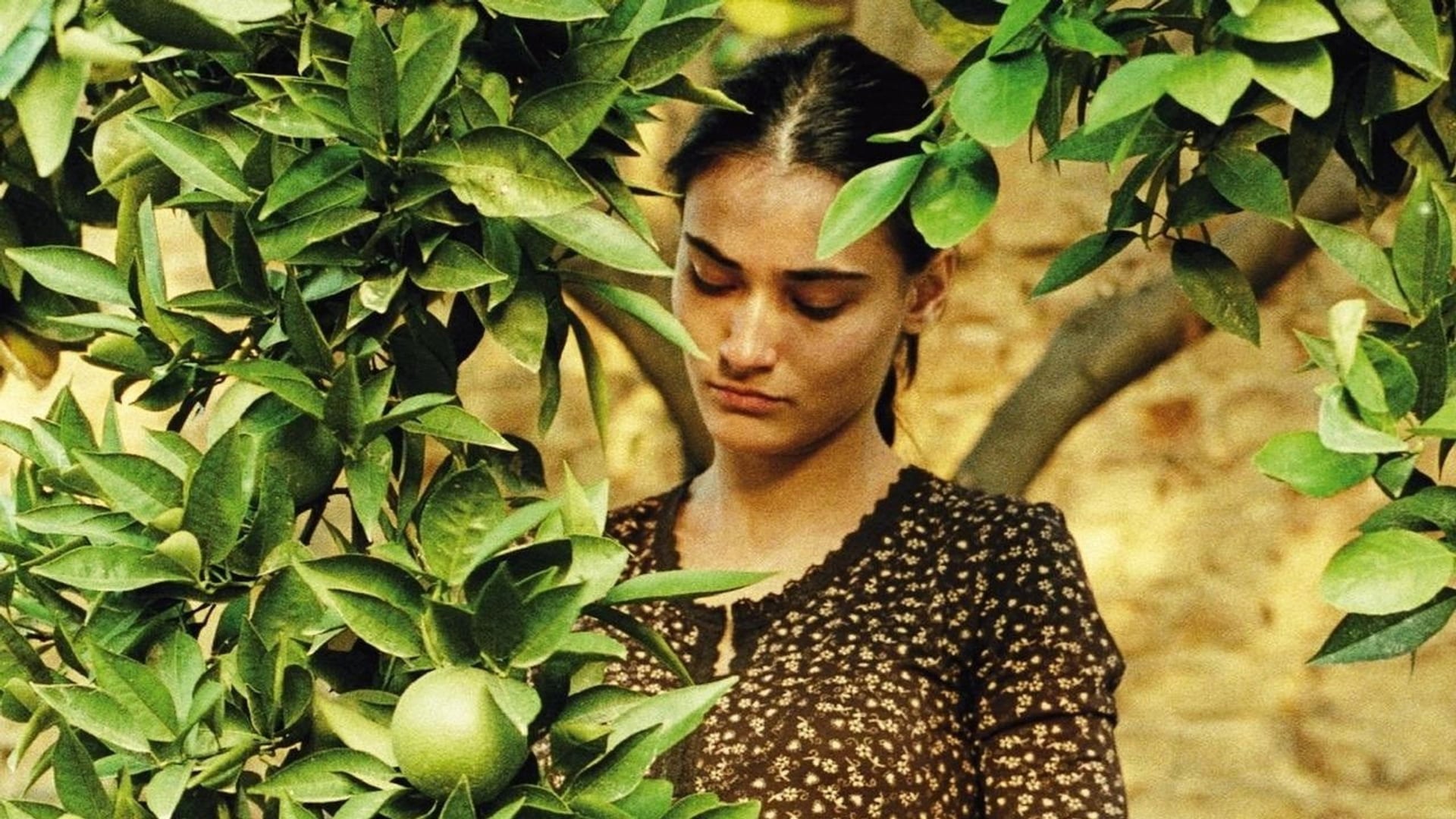 Foto do filme Yumurta