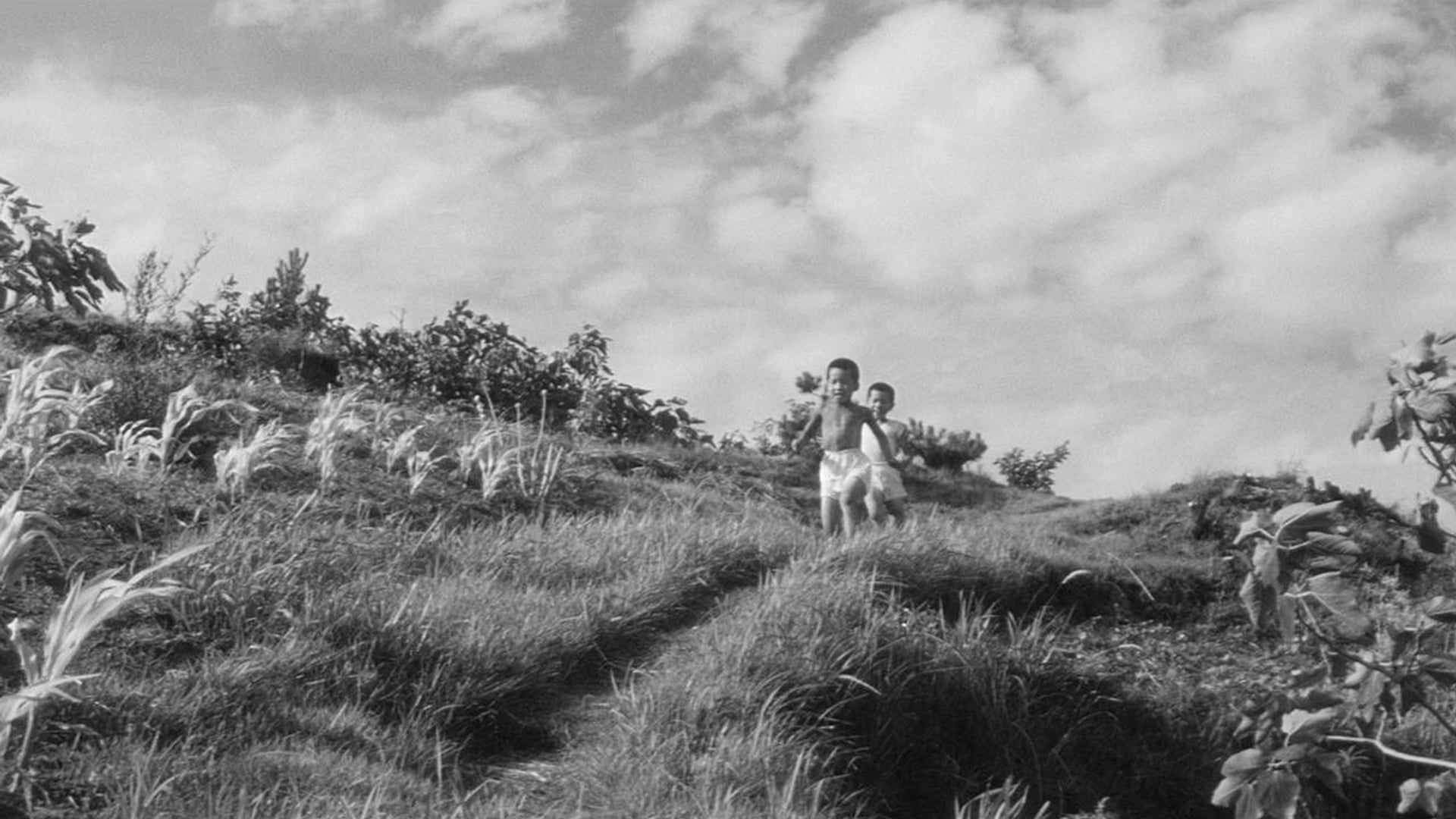 Foto do filme A Ilha Nua