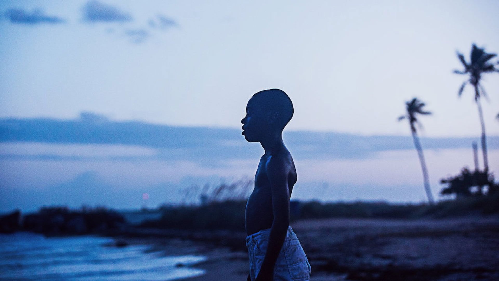 Foto do filme Moonlight: Sob a Luz do Luar