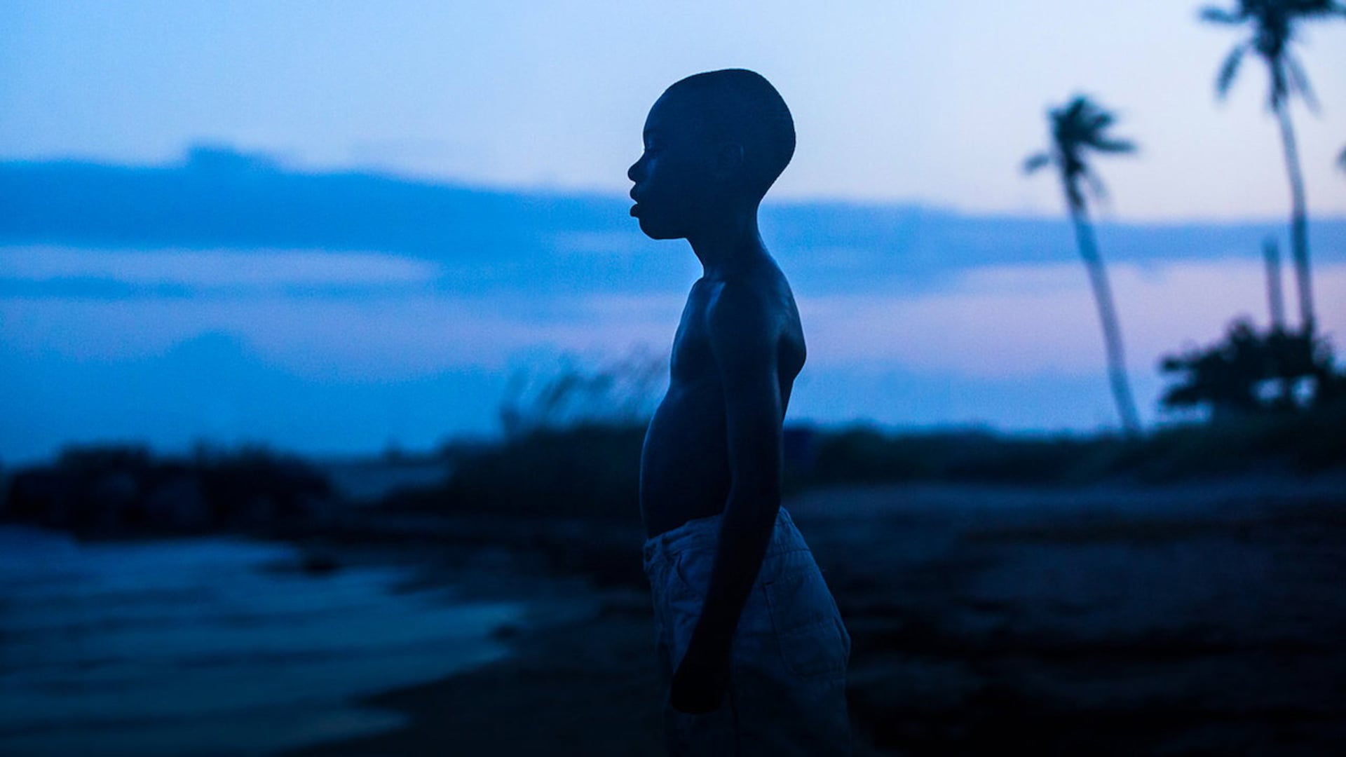 Foto do filme Moonlight: Sob a Luz do Luar