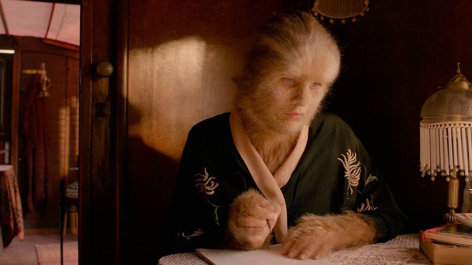 Foto do filme A Leoa