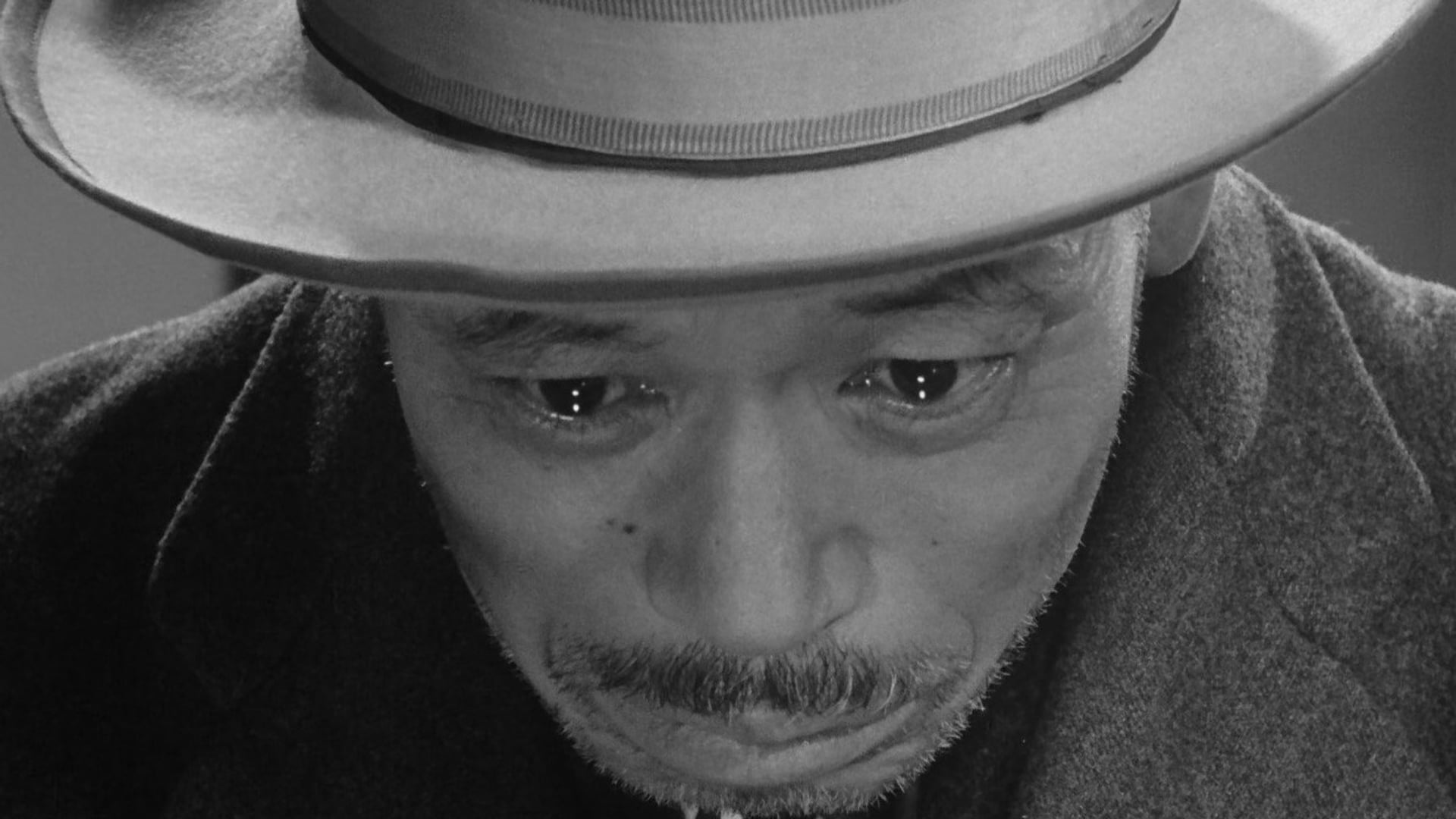 Foto do filme Viver