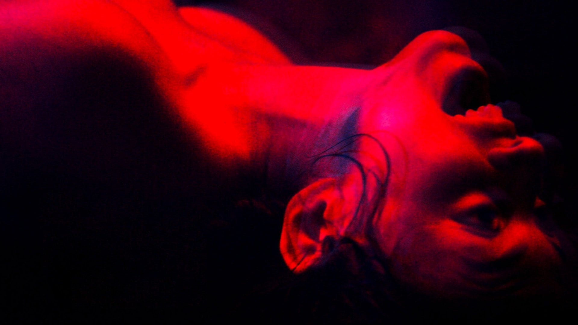 Foto do filme Tenemos la carne