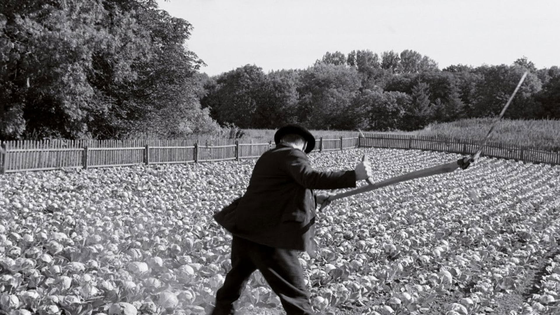 Foto do filme A Fita Branca