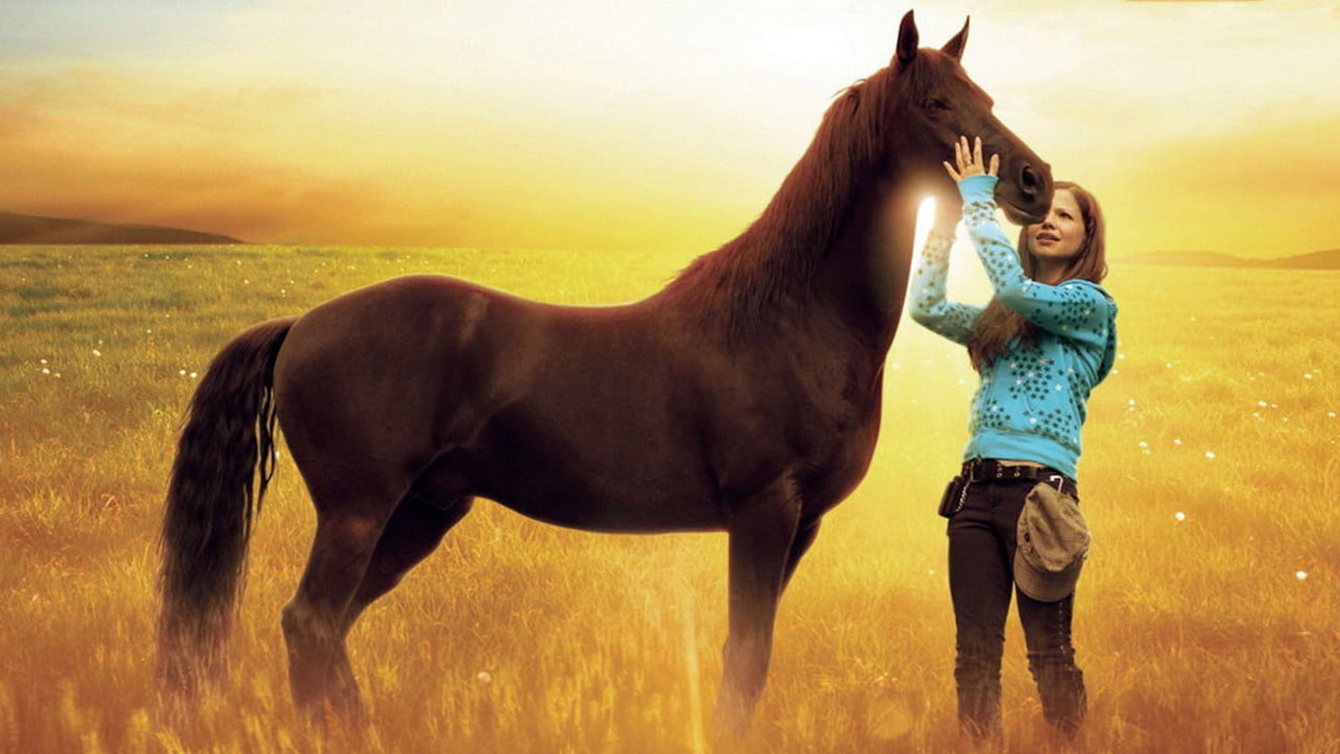 Foto do filme Flicka 2