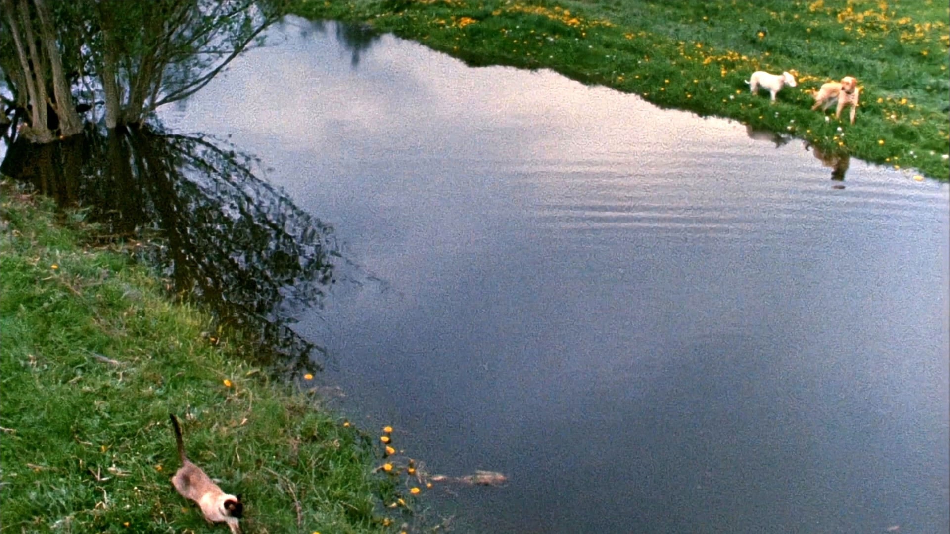 Foto do filme A Incrível Jornada