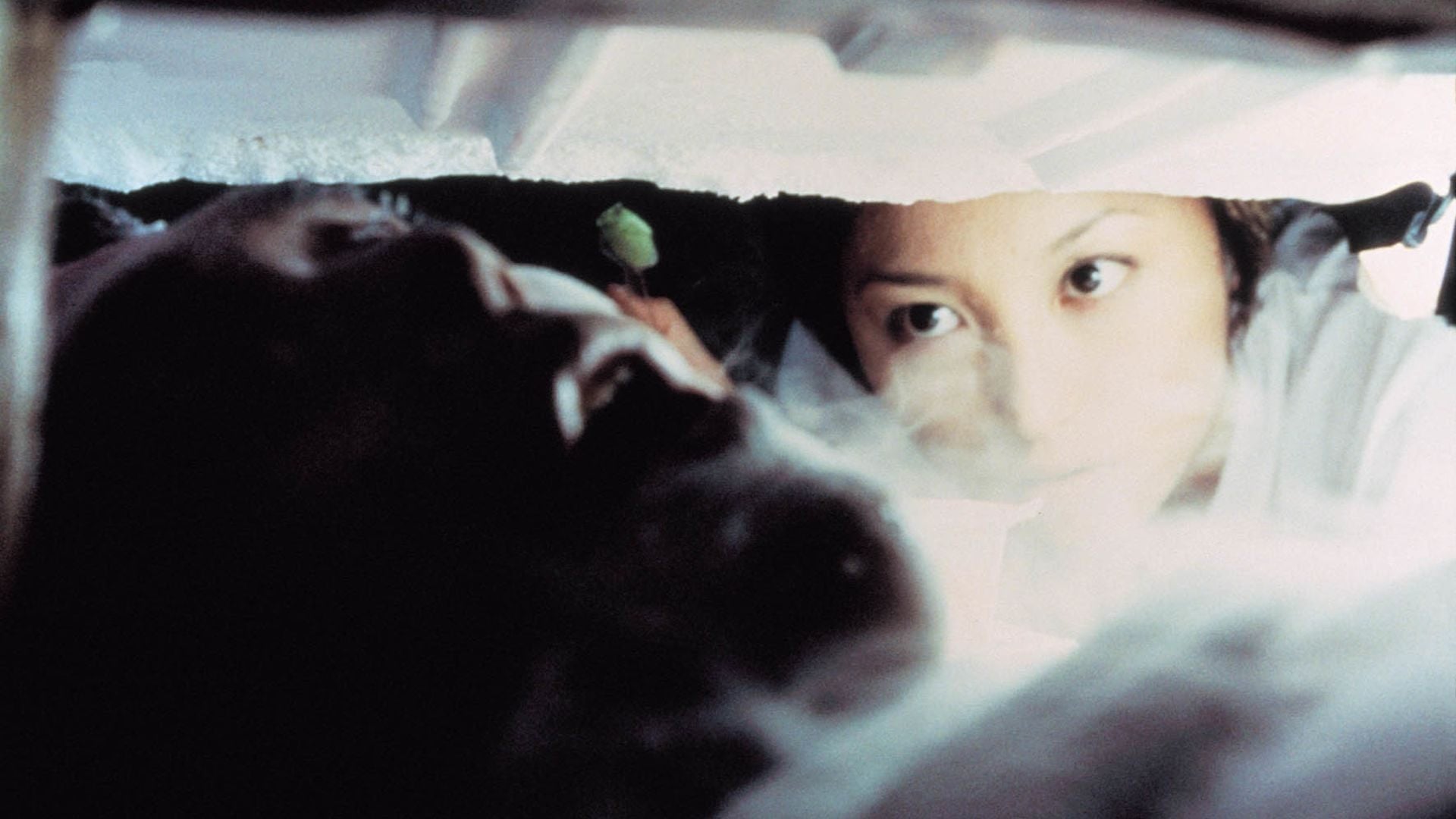 Foto do filme Freeze Me