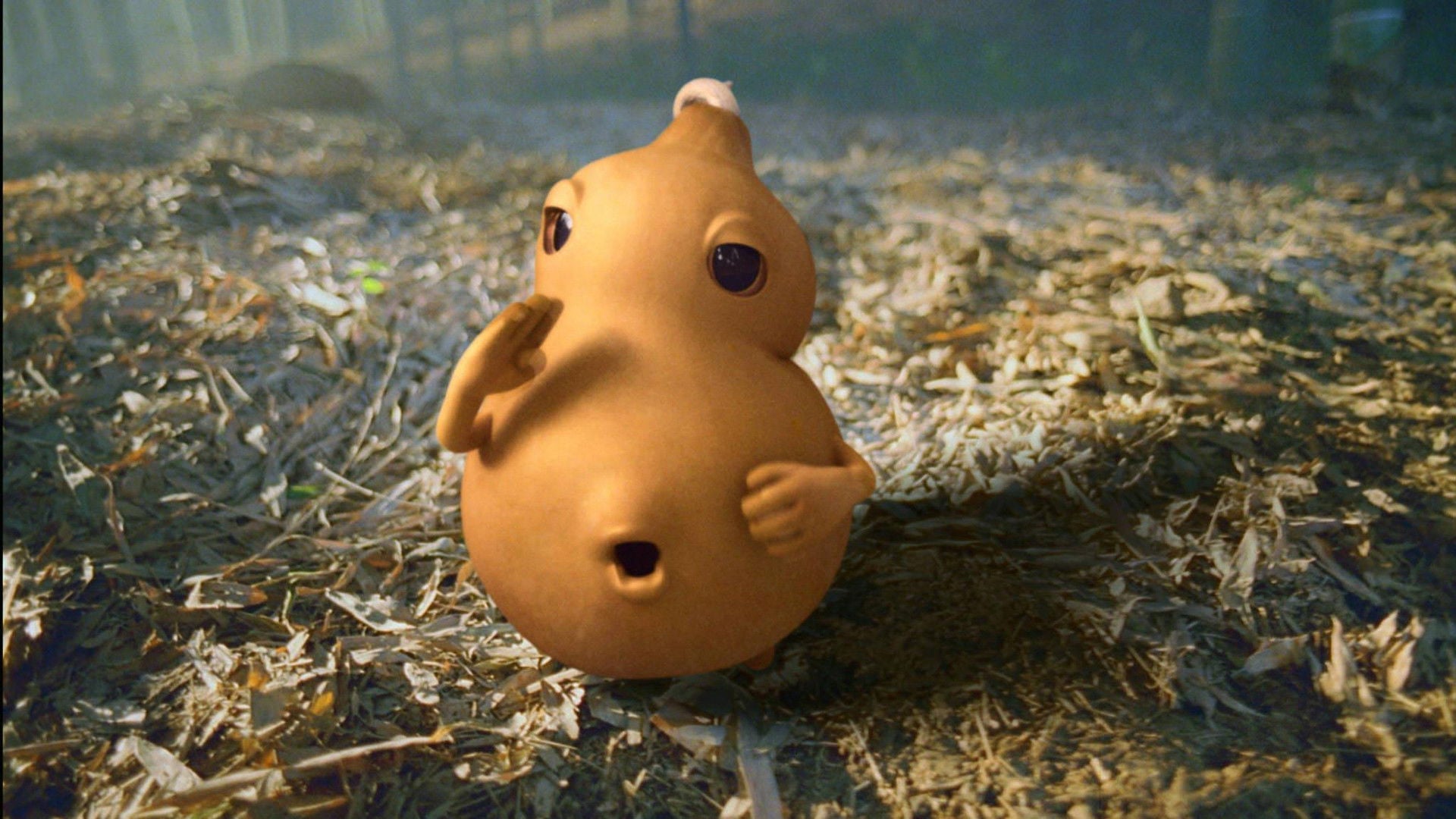 Foto do filme A Abóbora Mágica